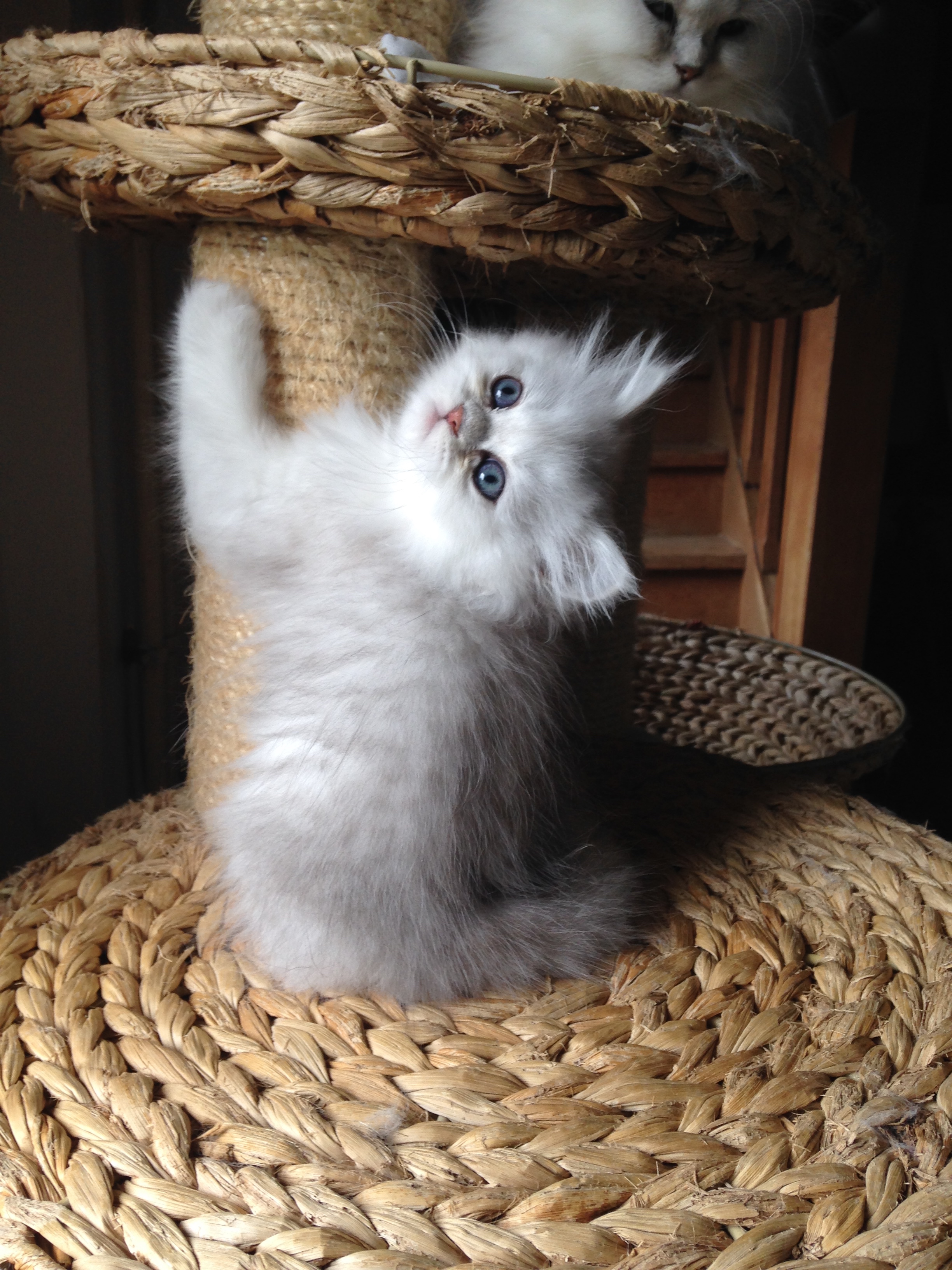 2 mois