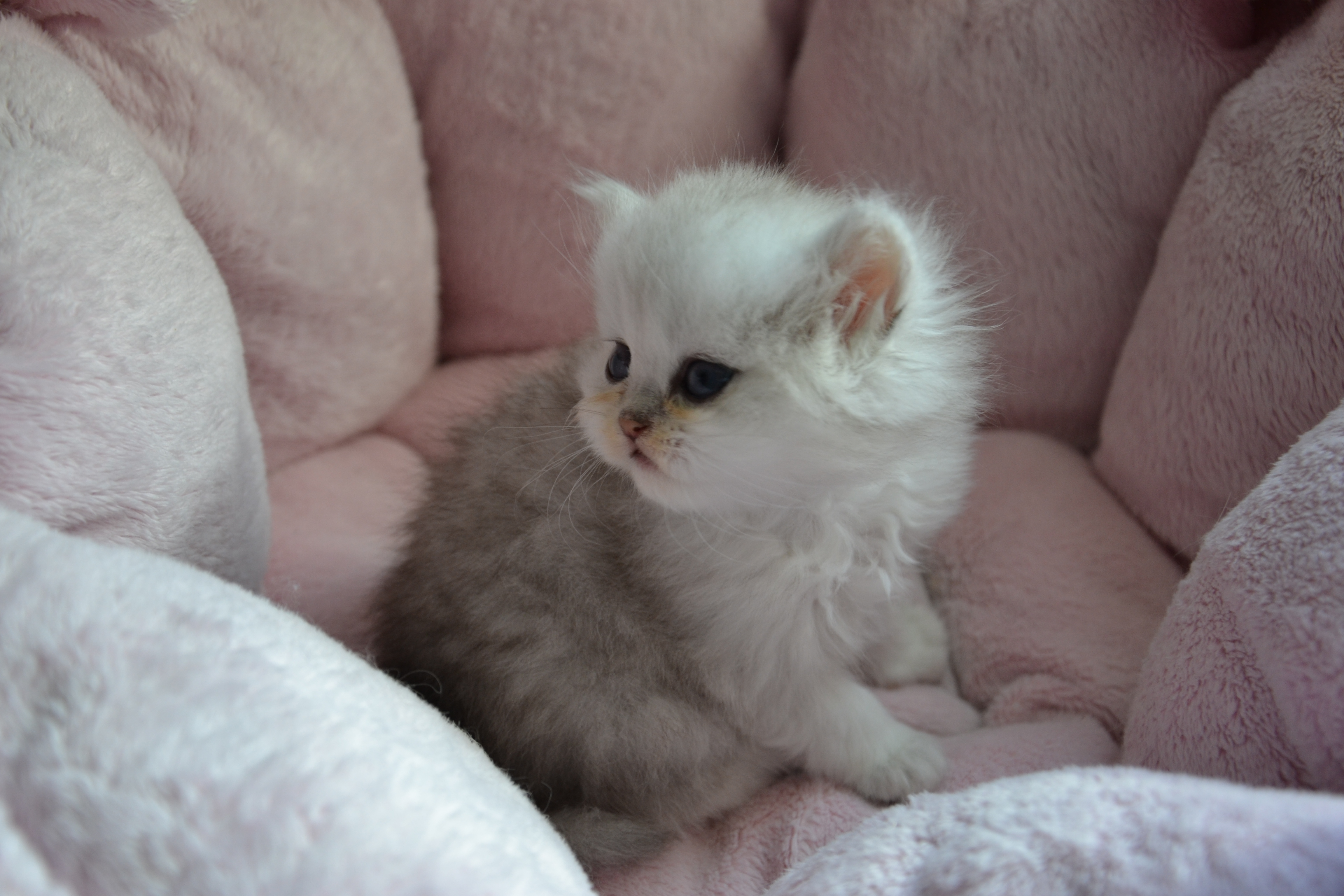 1 mois
