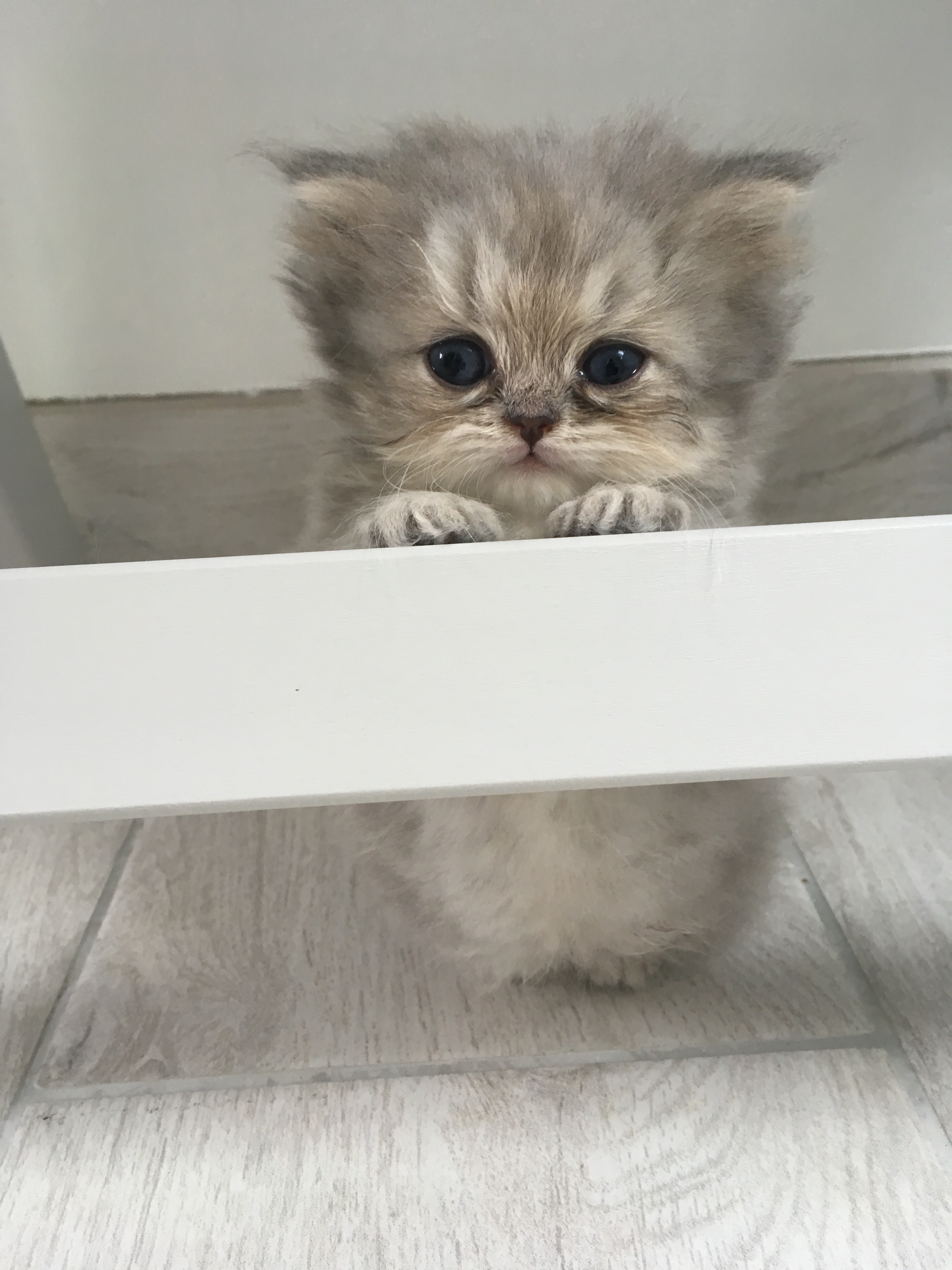 1 mois