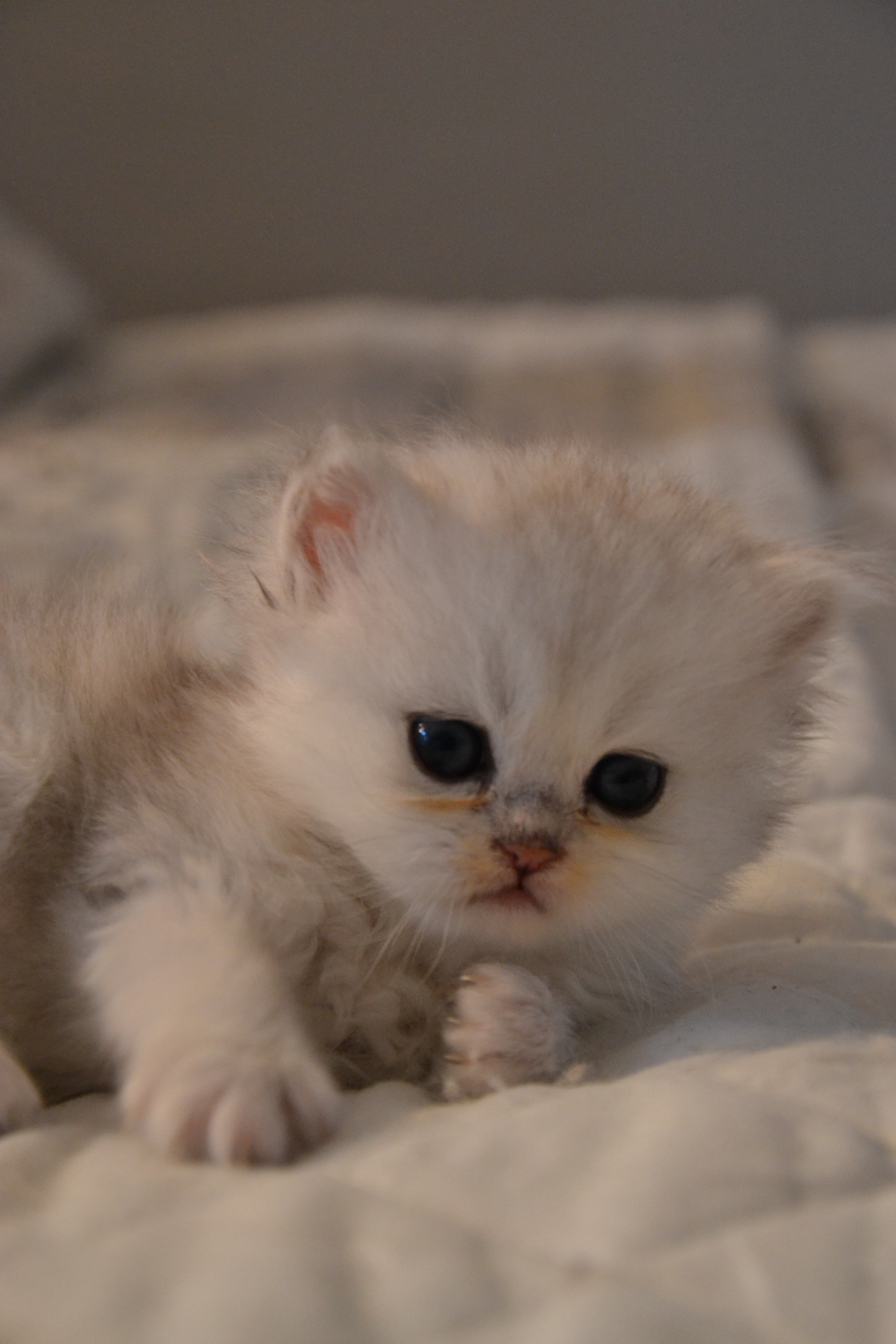 1 mois