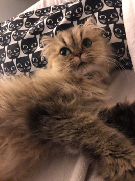 Ombeline, 2 ans