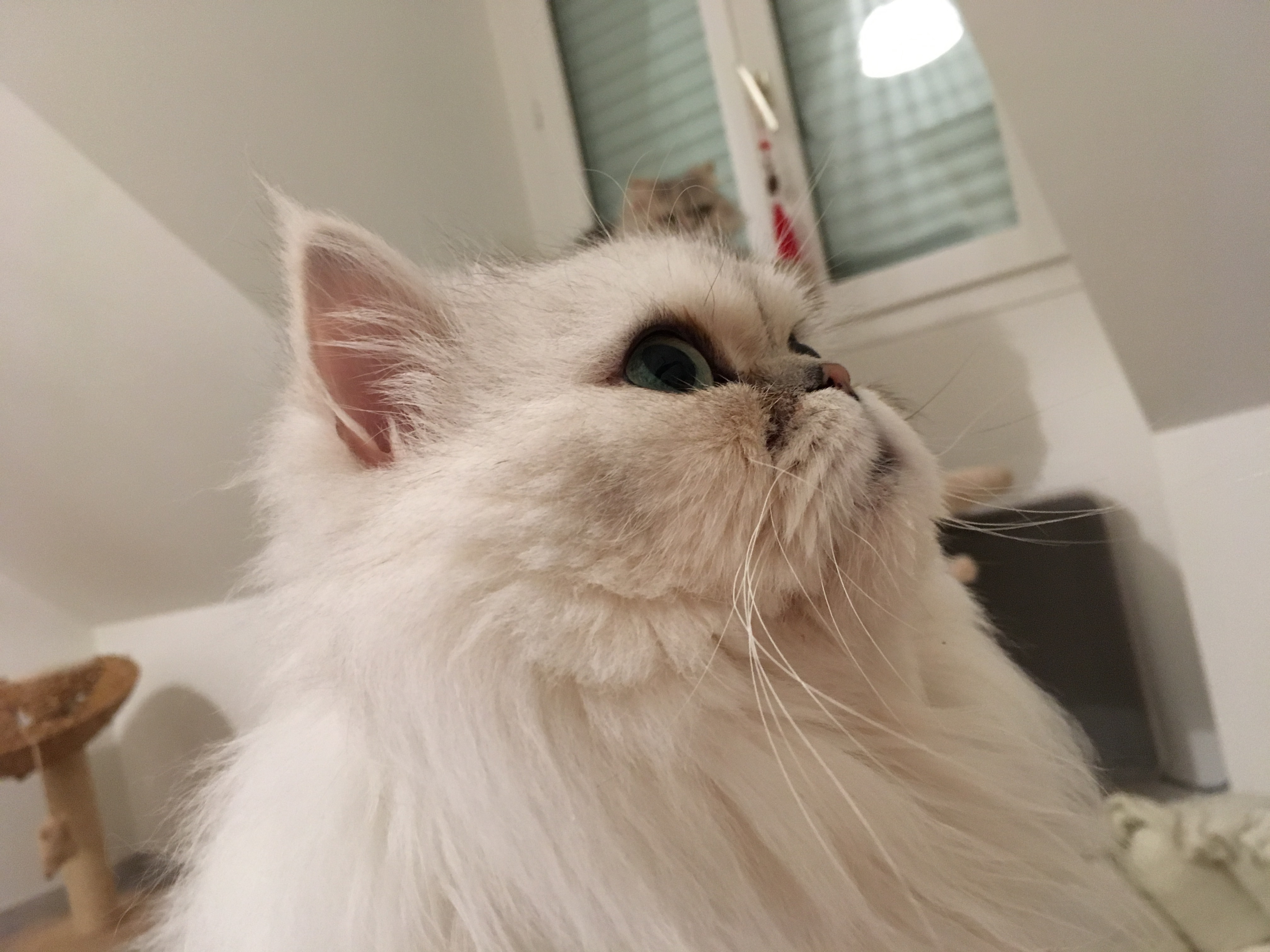 7 ans