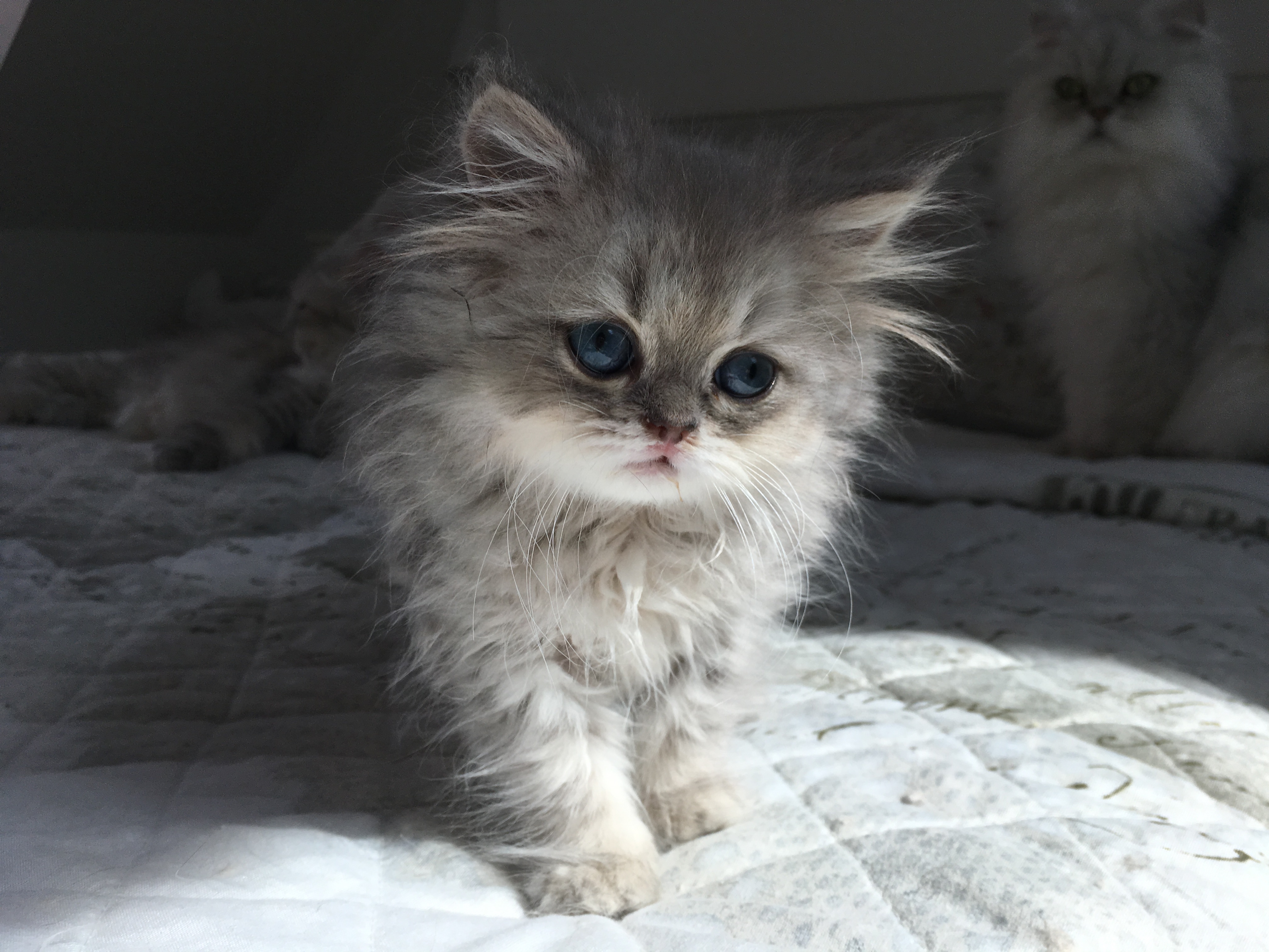 2 mois