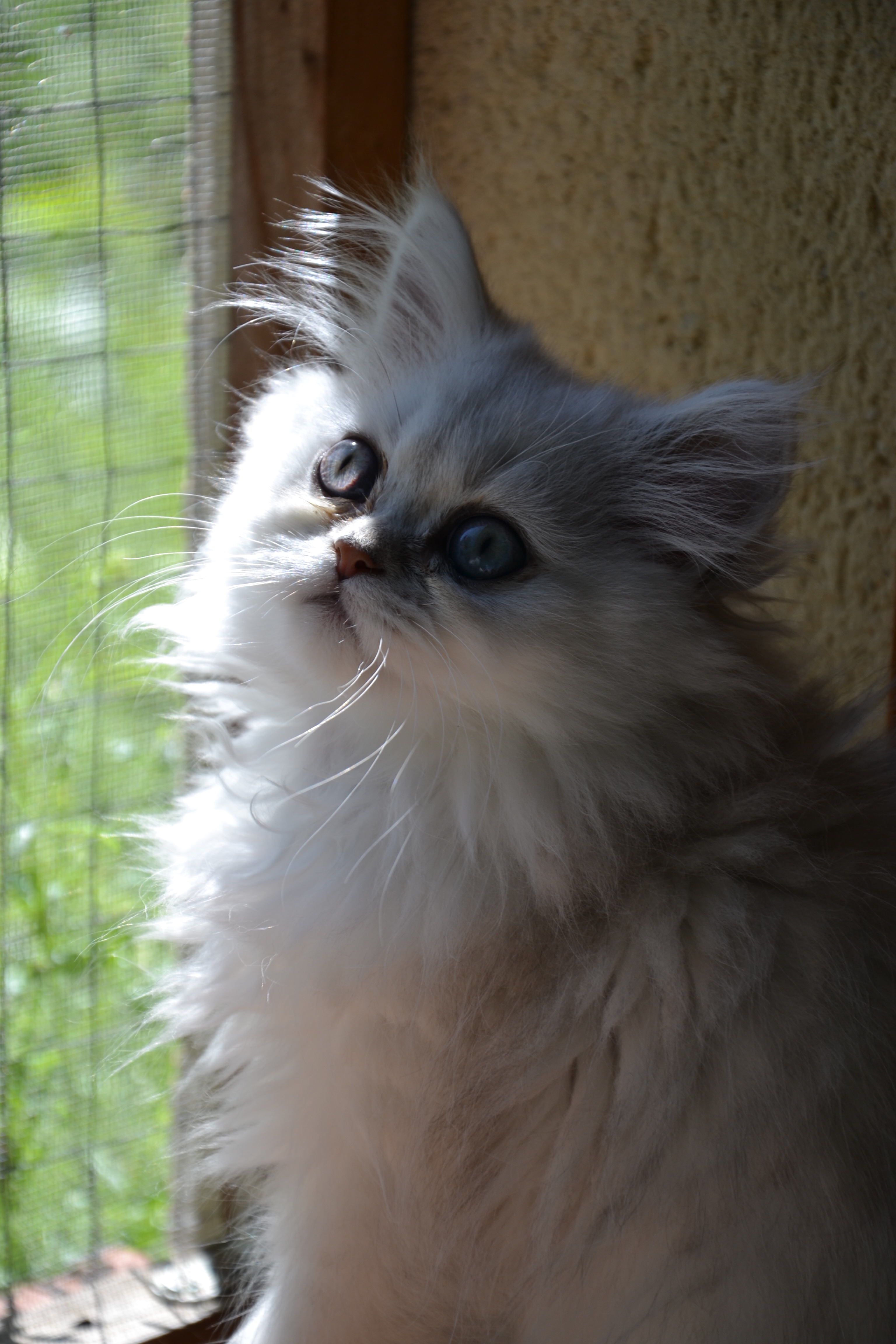 2 mois