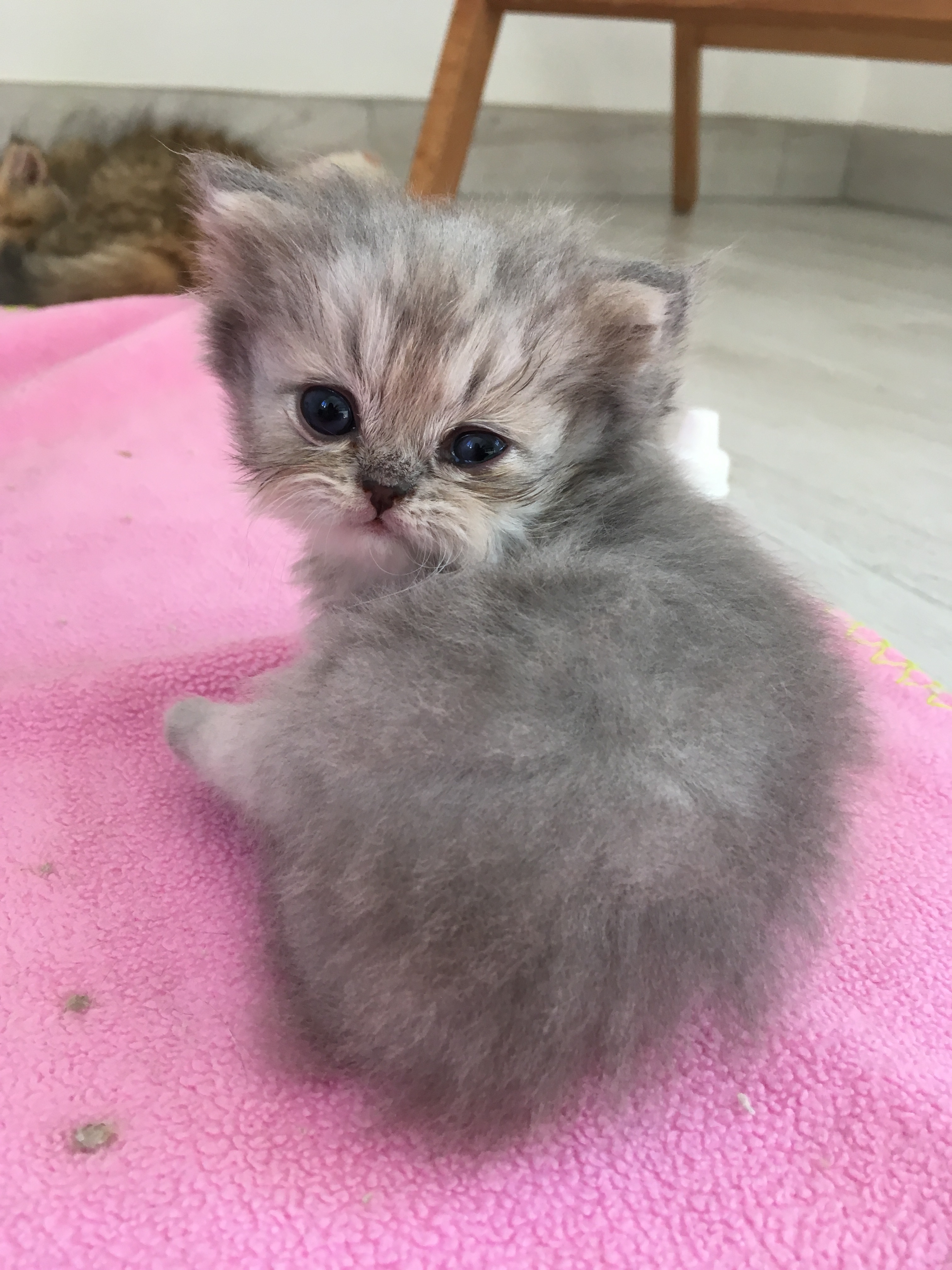 1 mois