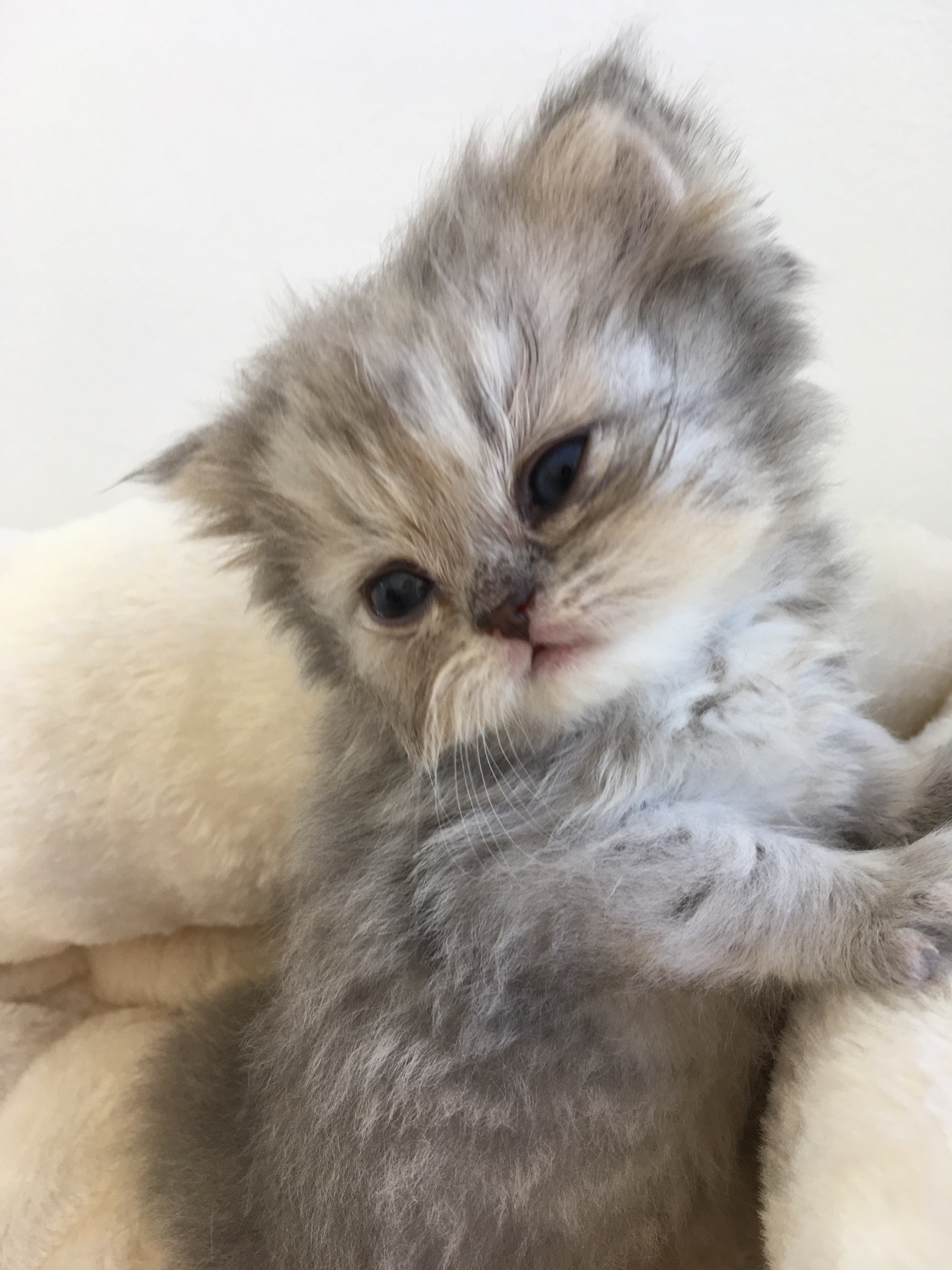 1 mois