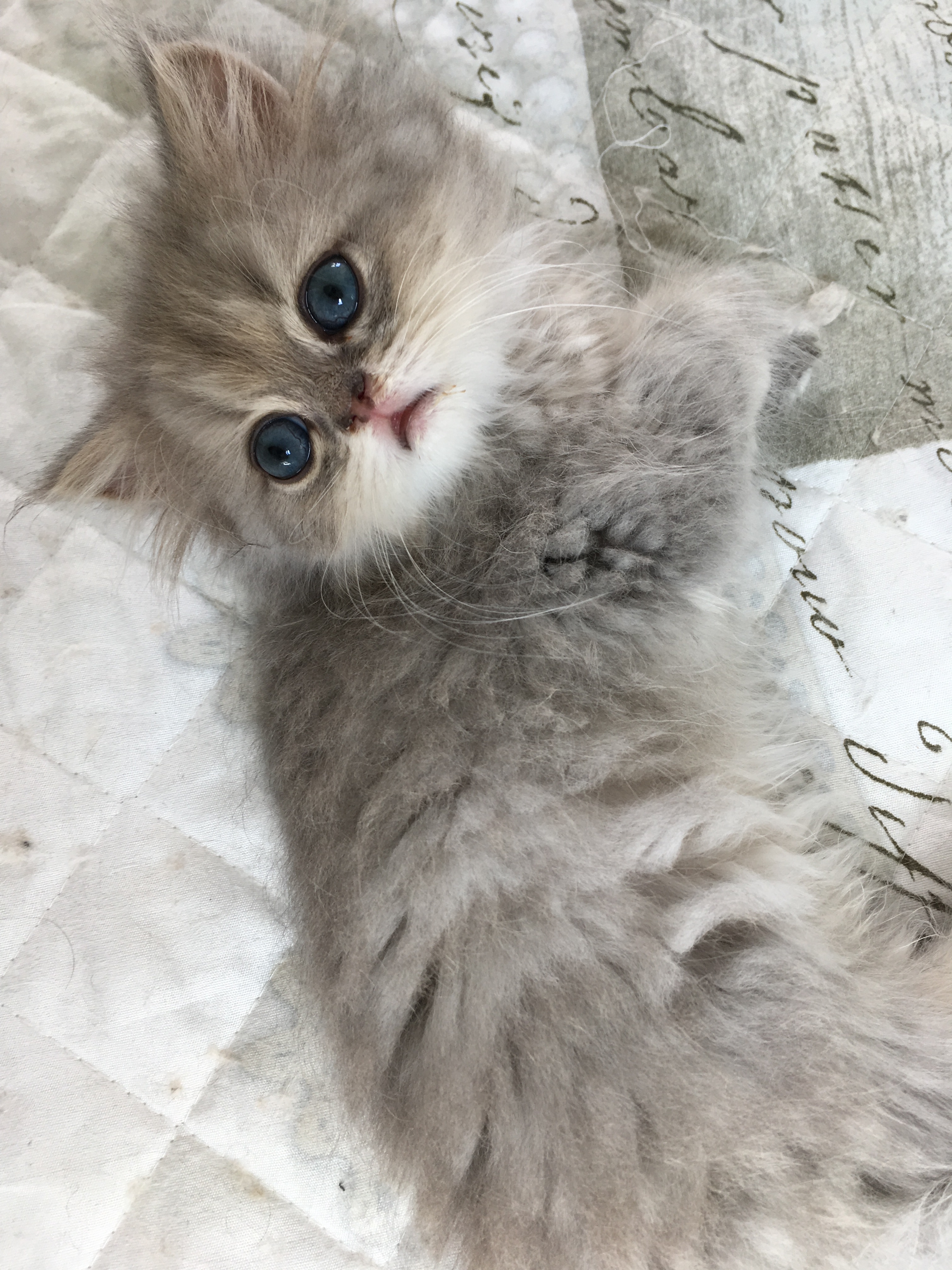 2 mois