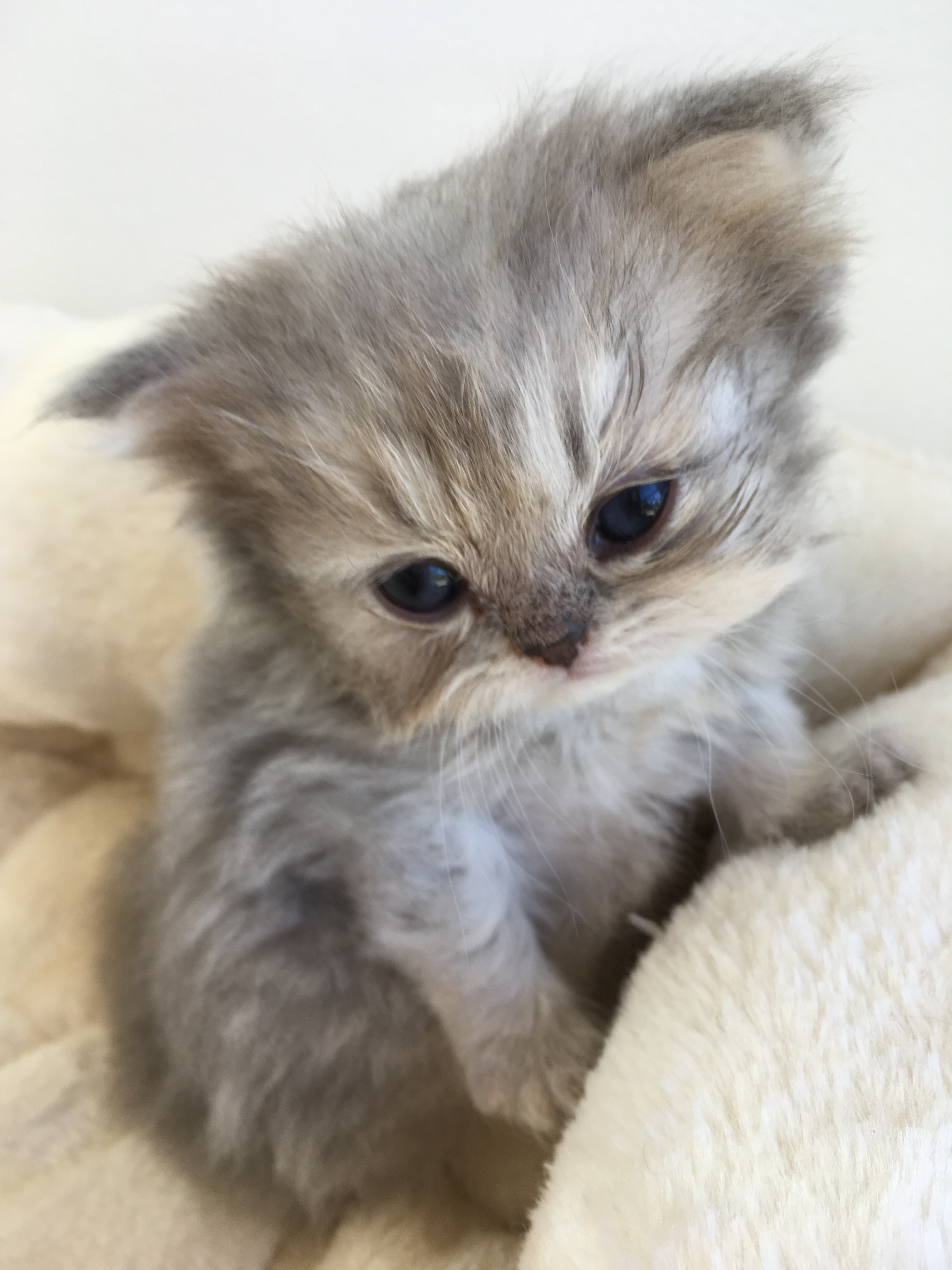 1 mois