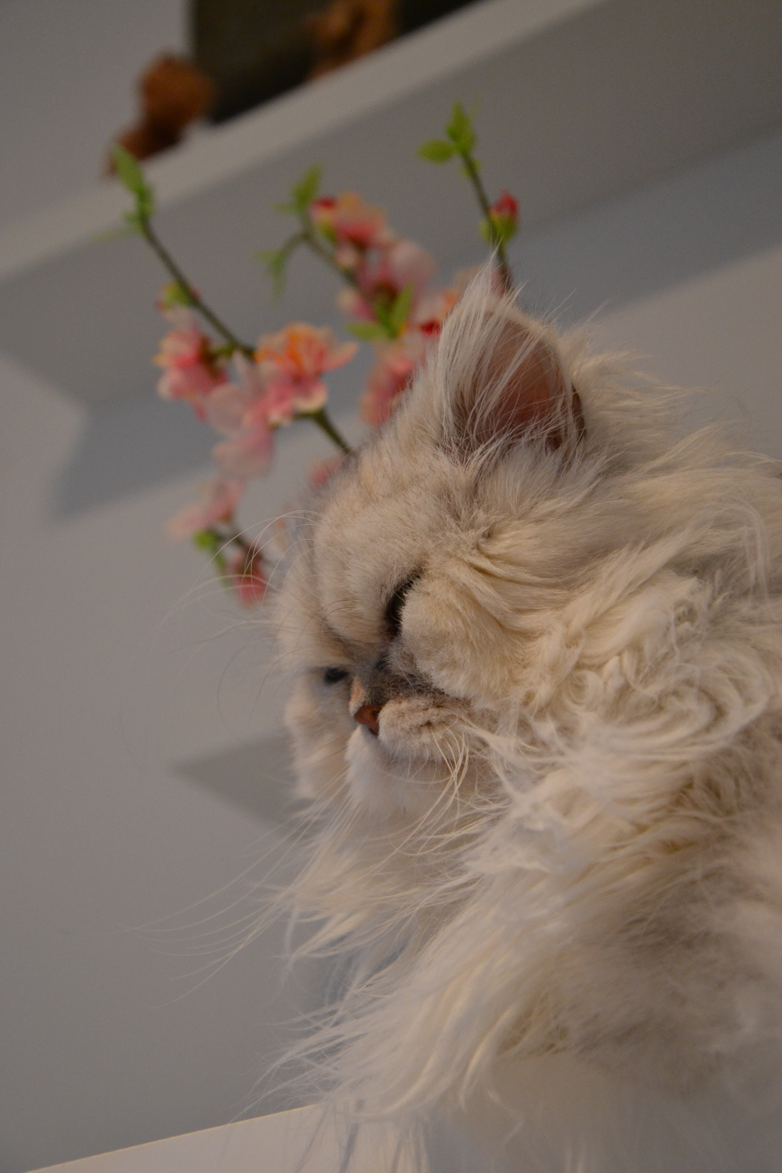 11 mois