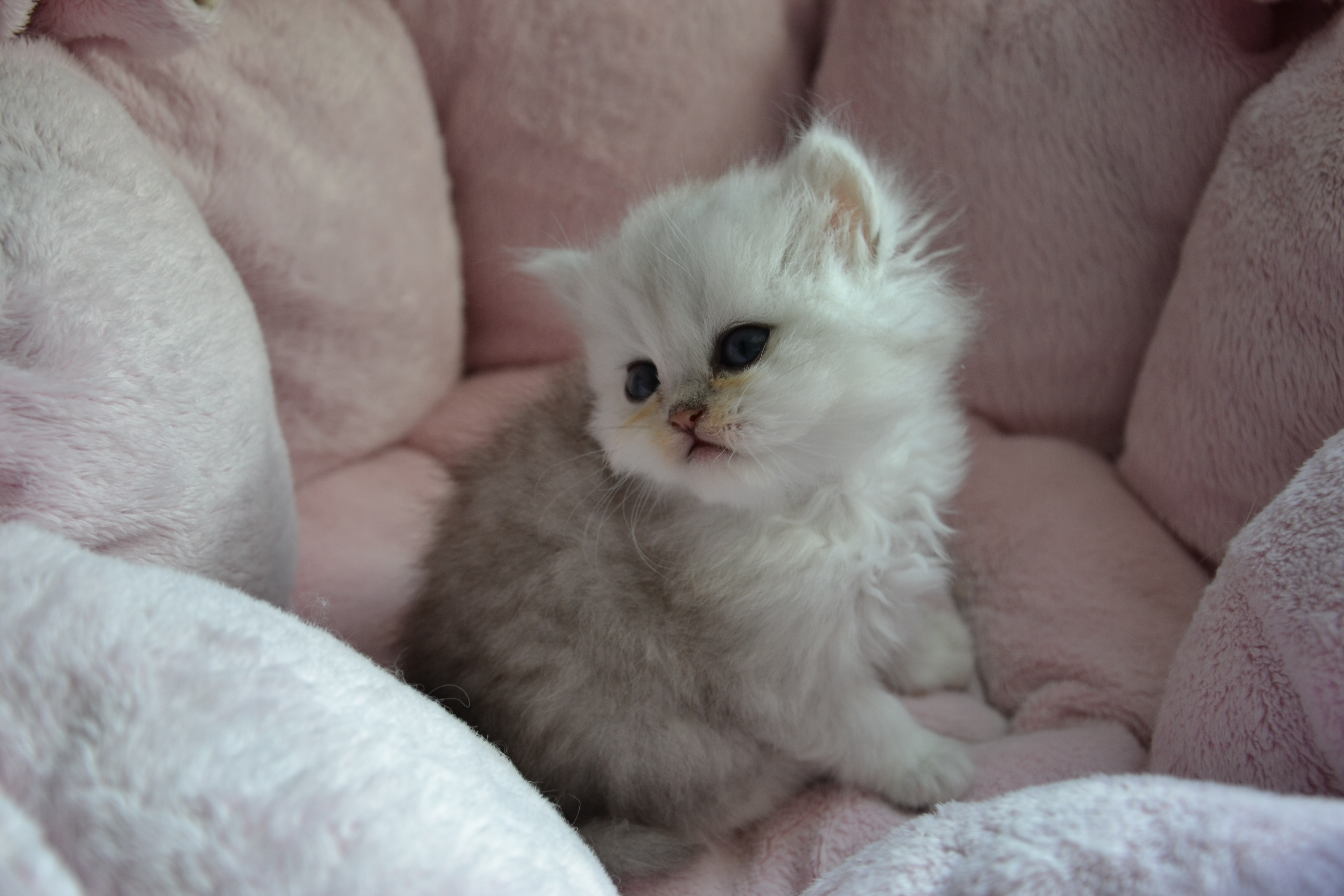 1 mois