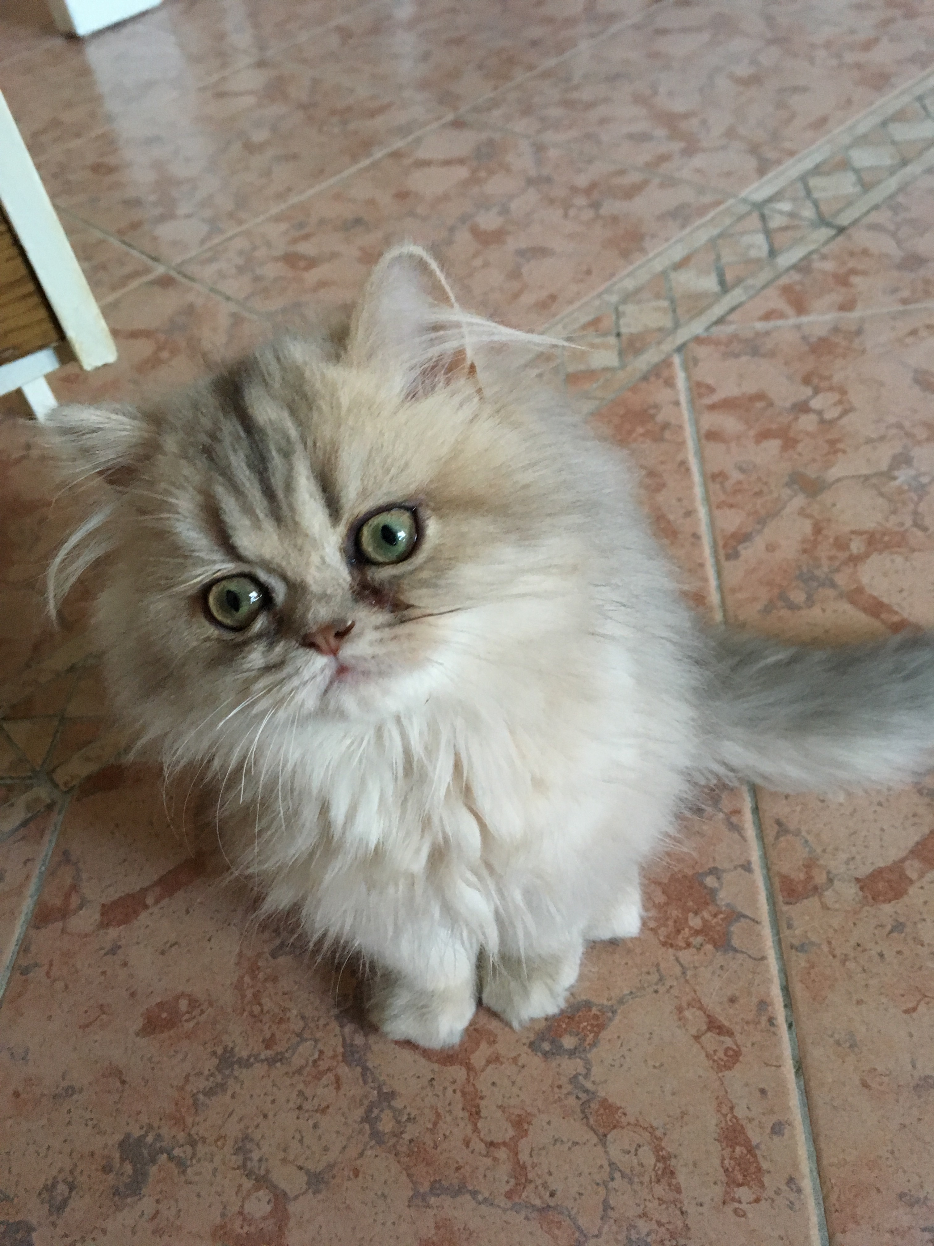 4 mois