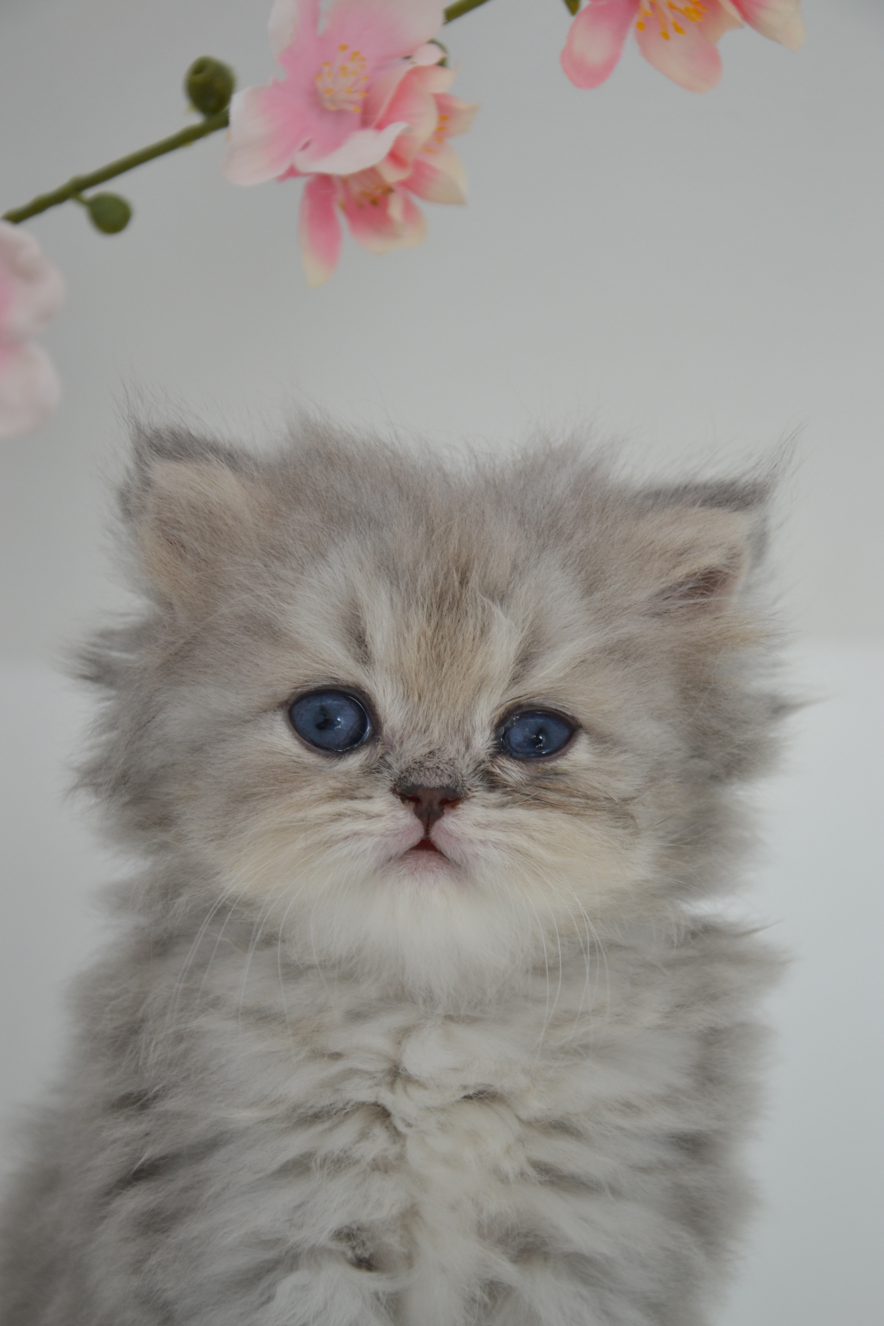 1 mois