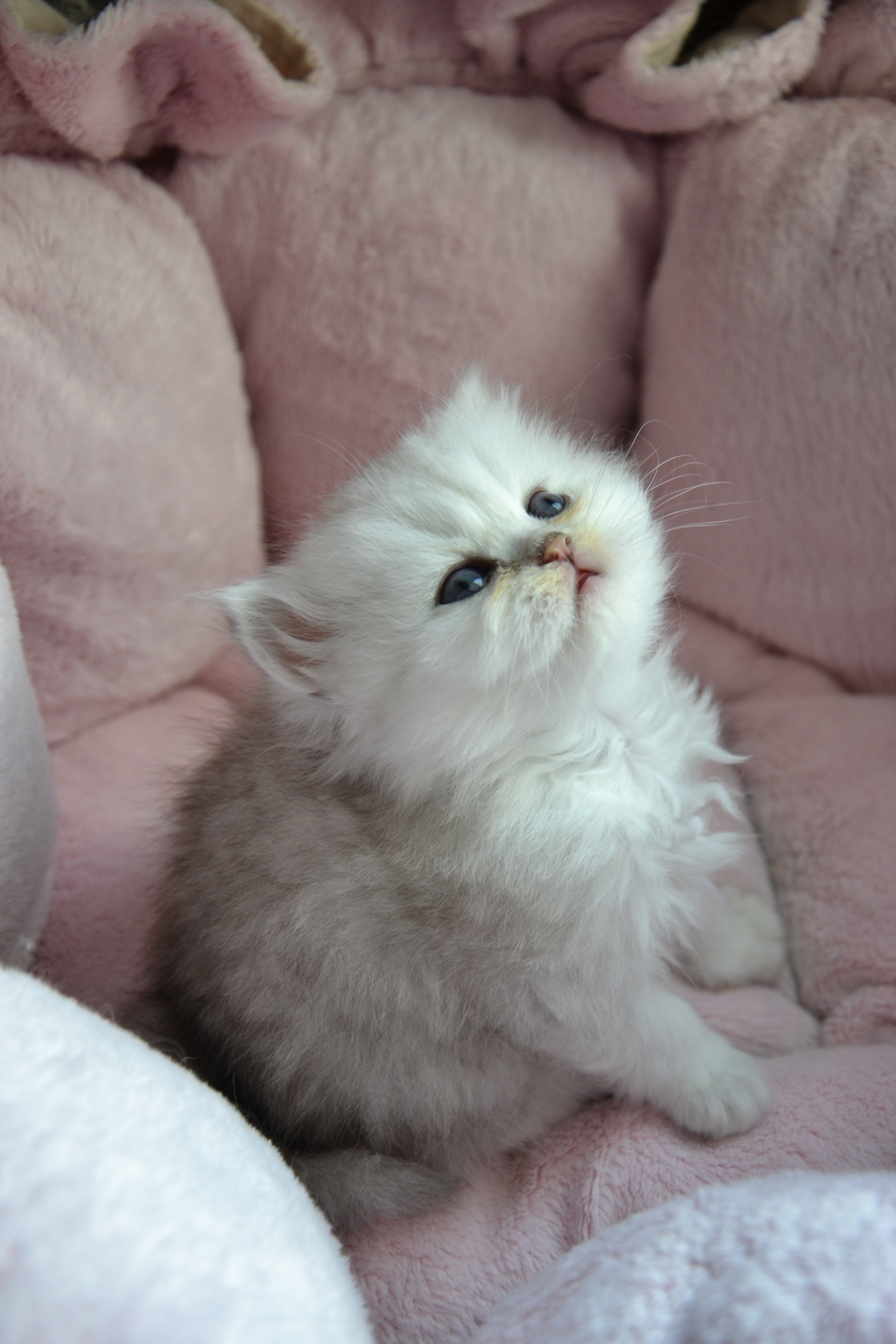 1 mois