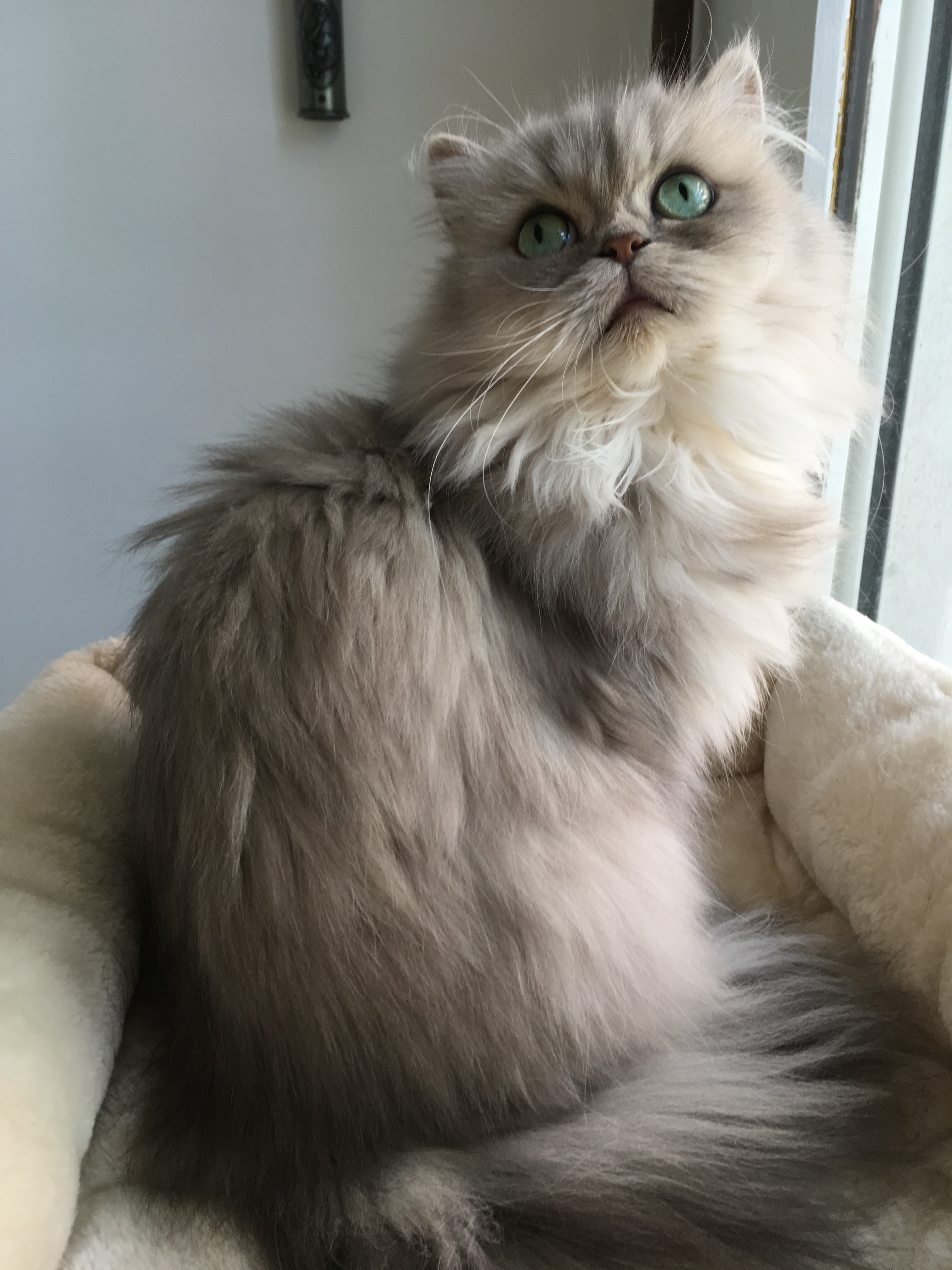 5 ans