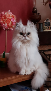 Osiris, 2 ans