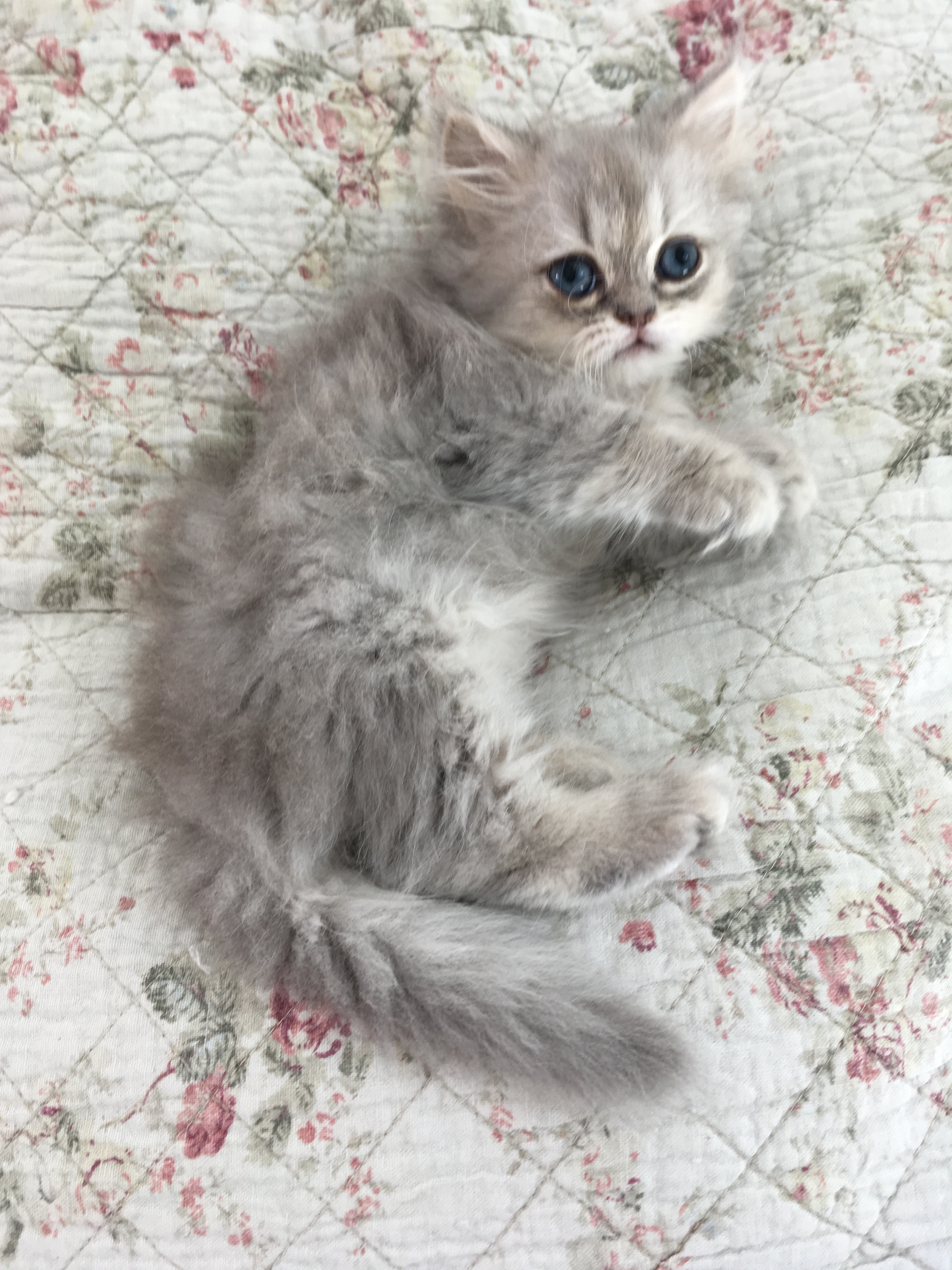 2 mois