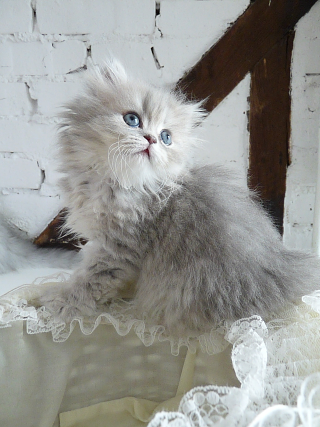 2 mois