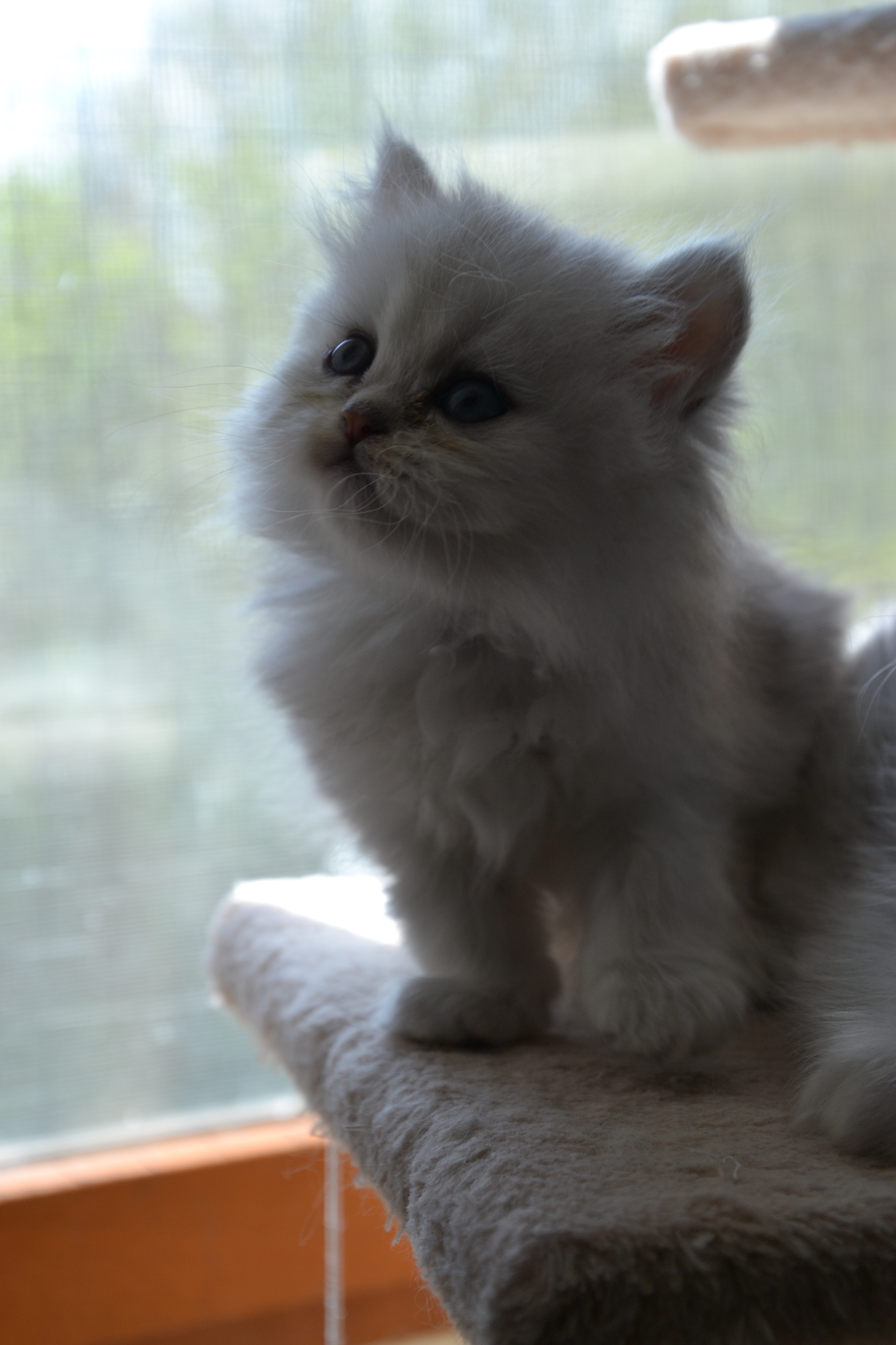 1 mois