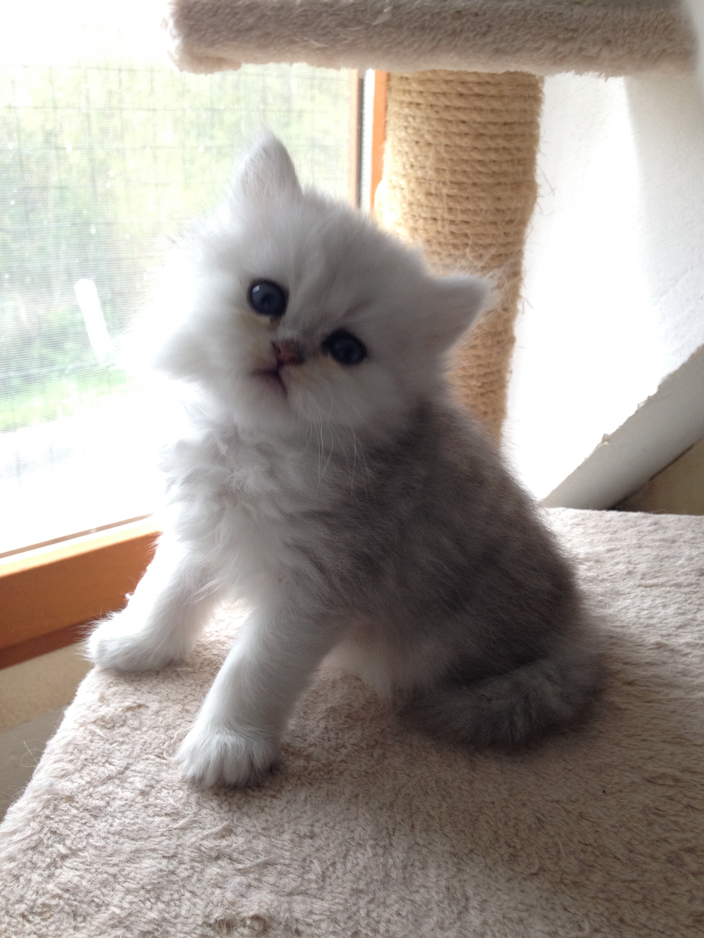 1 mois