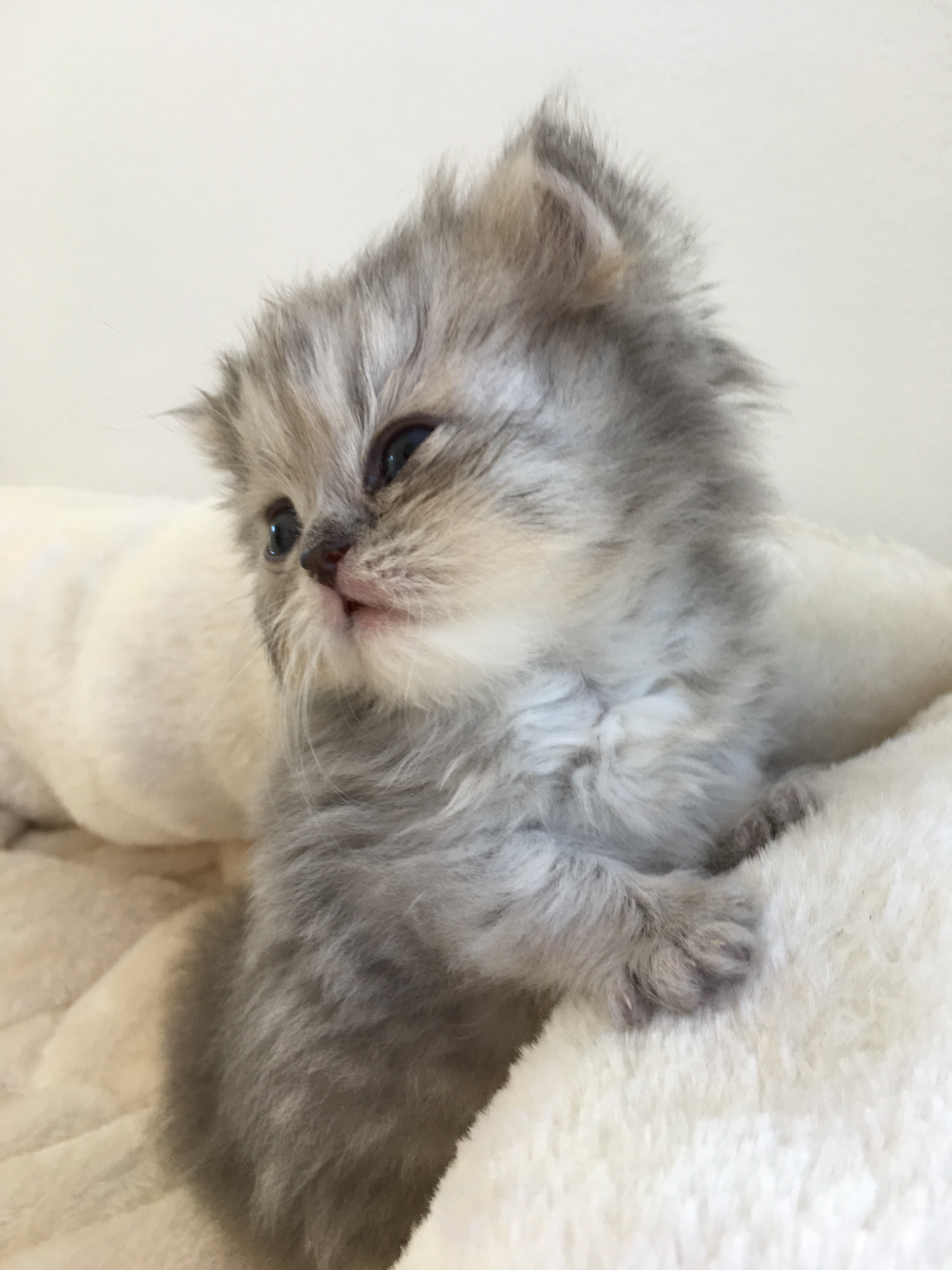 1 mois