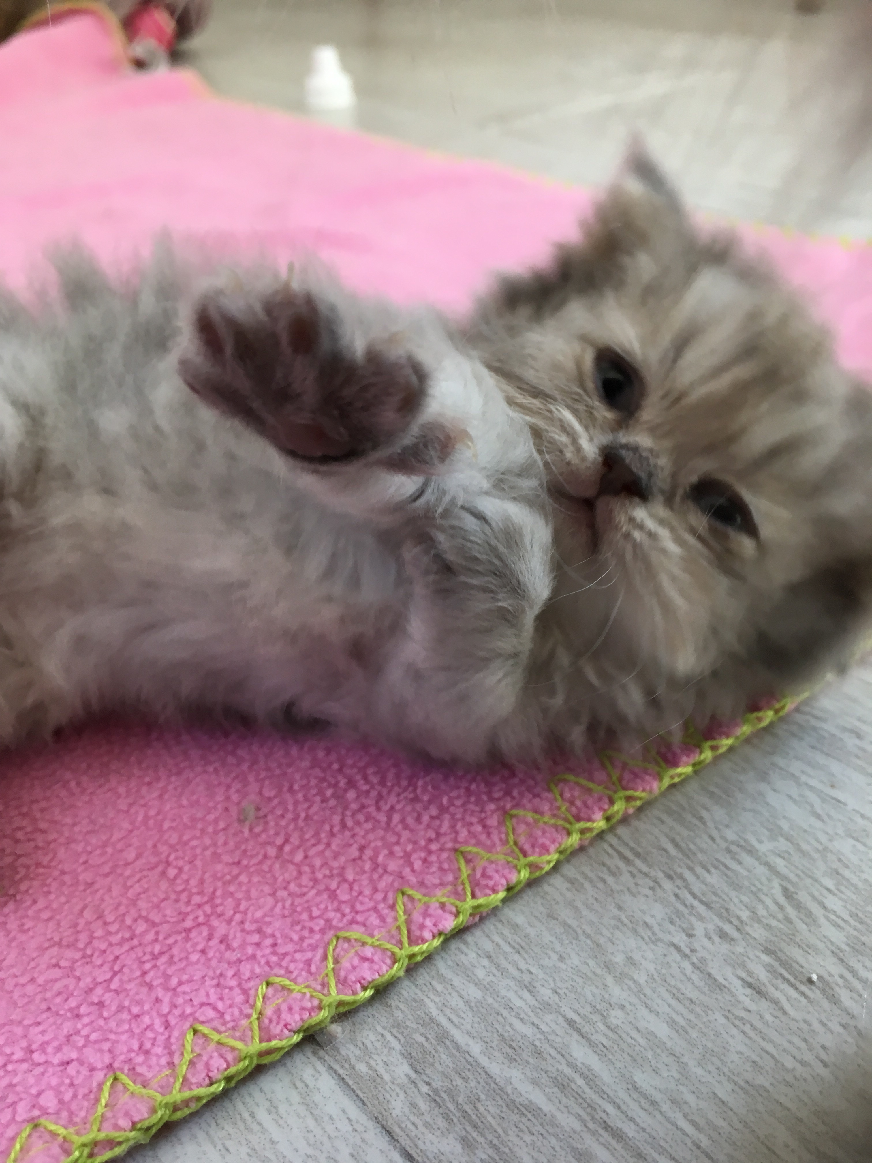 1 mois