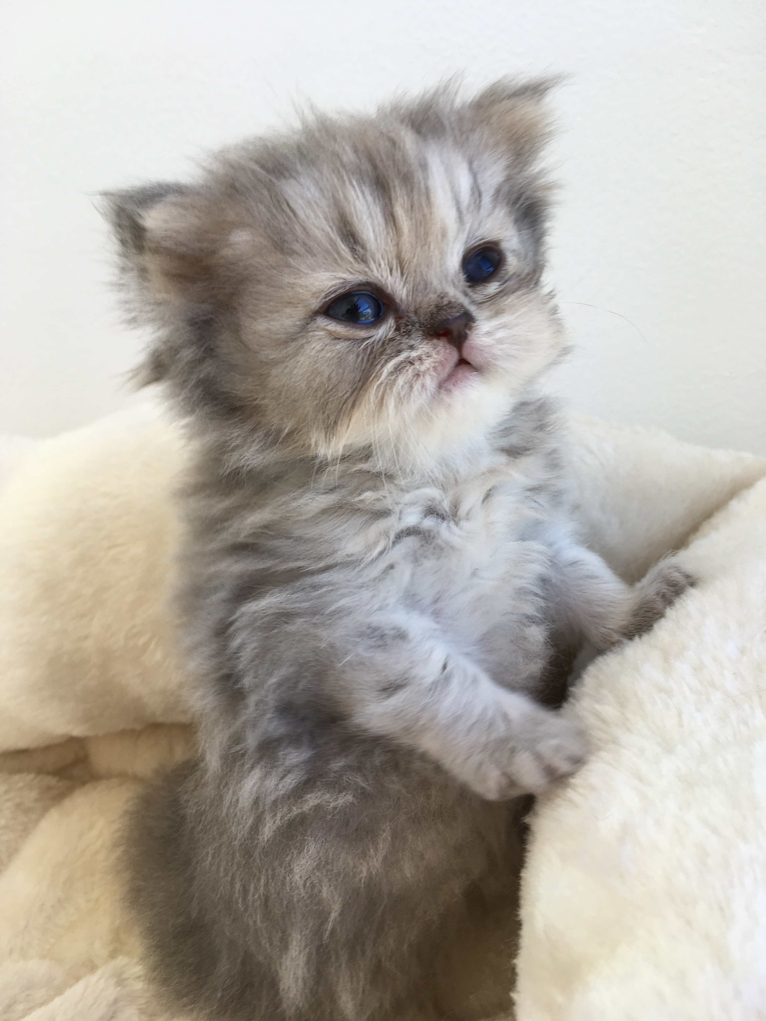 1 mois