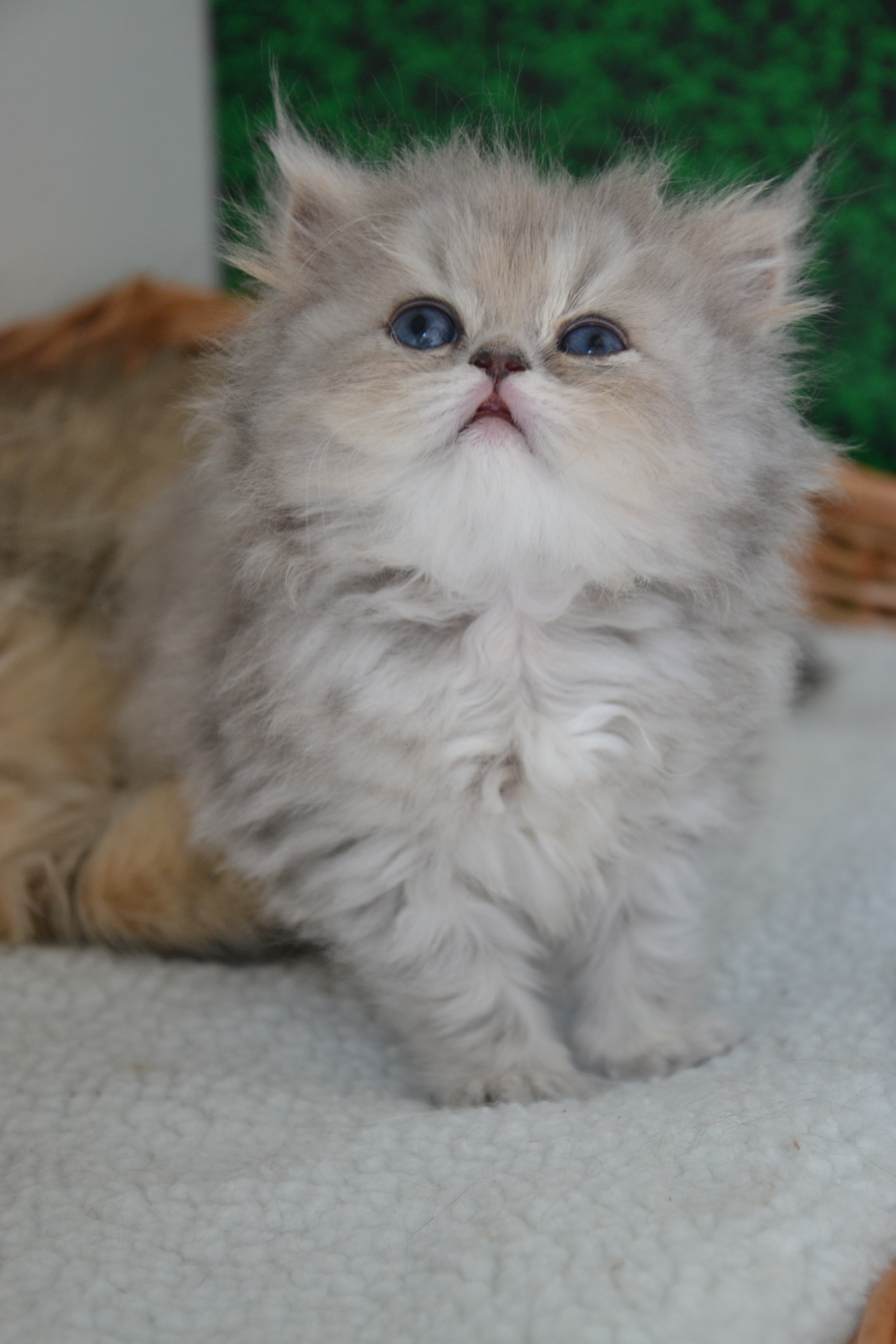 1 mois