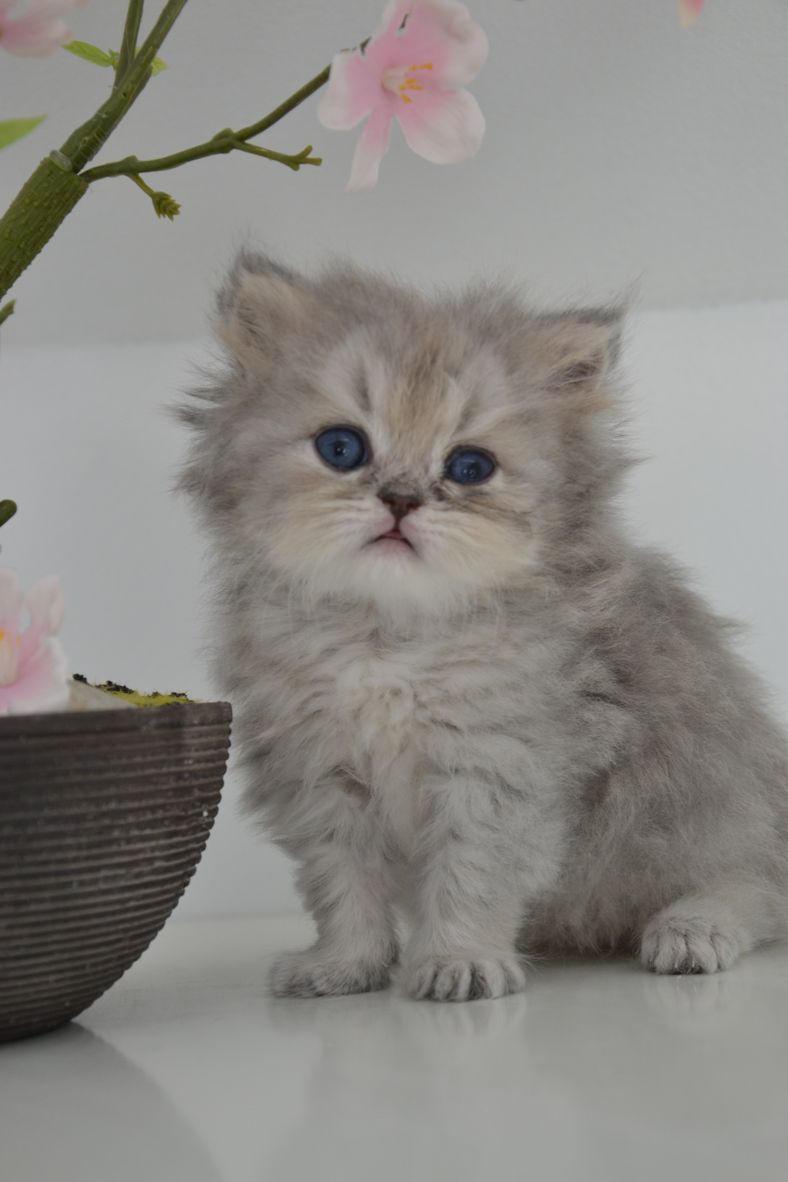 1 mois