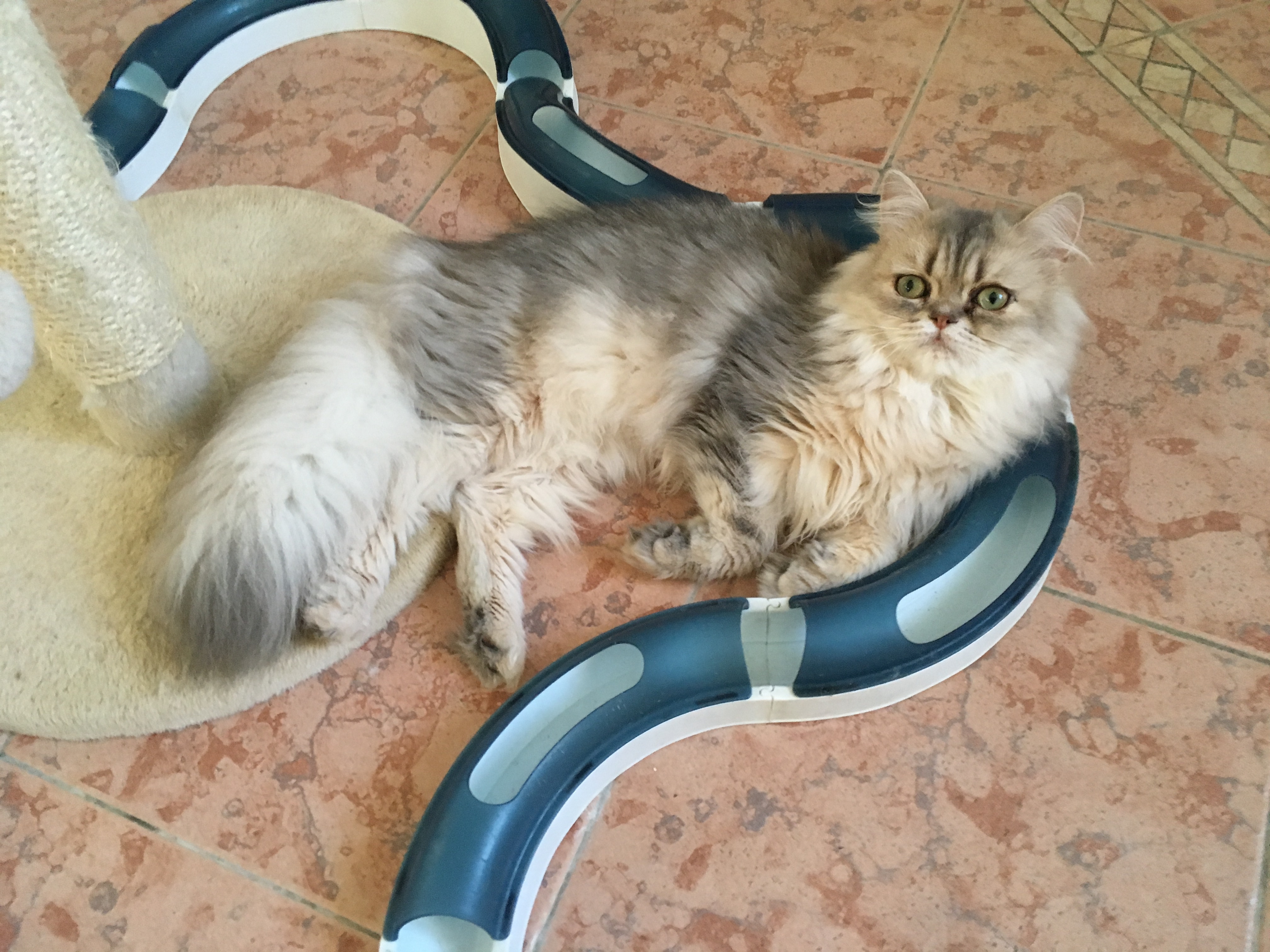 8 mois