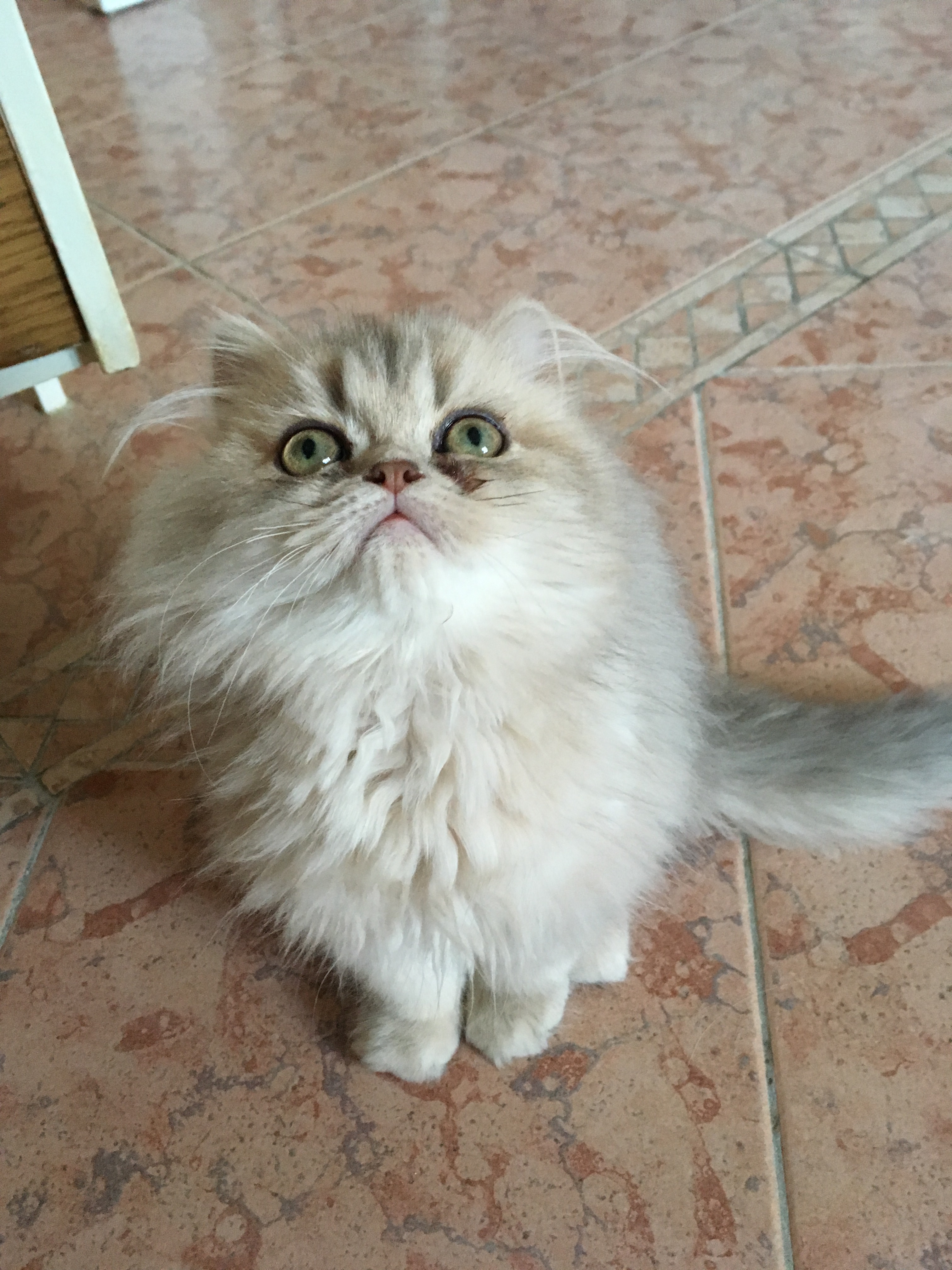 4 mois