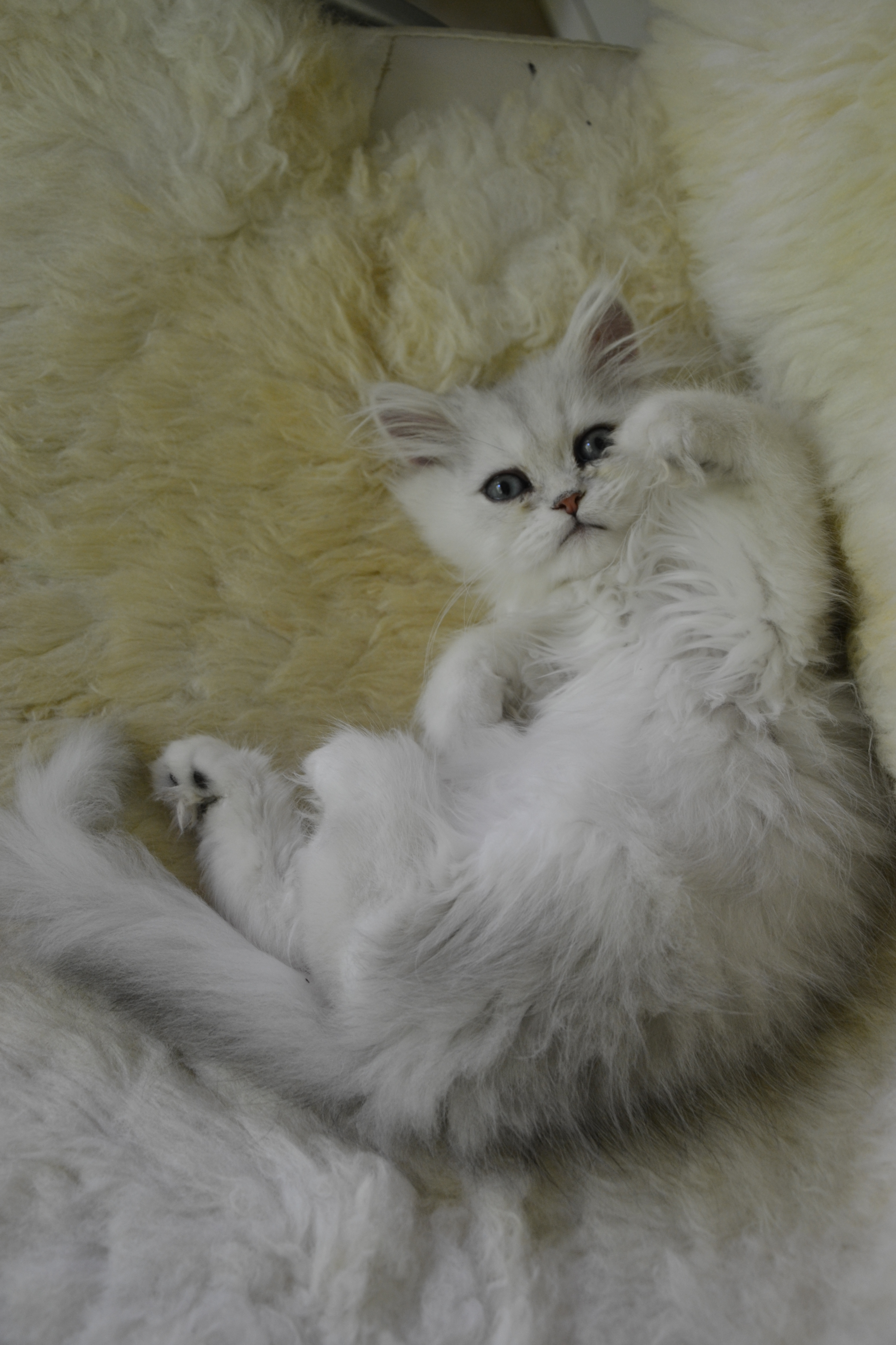 2 mois