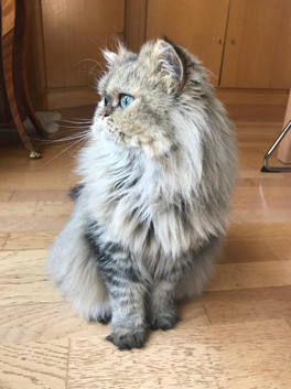 Oliver, 2 ans