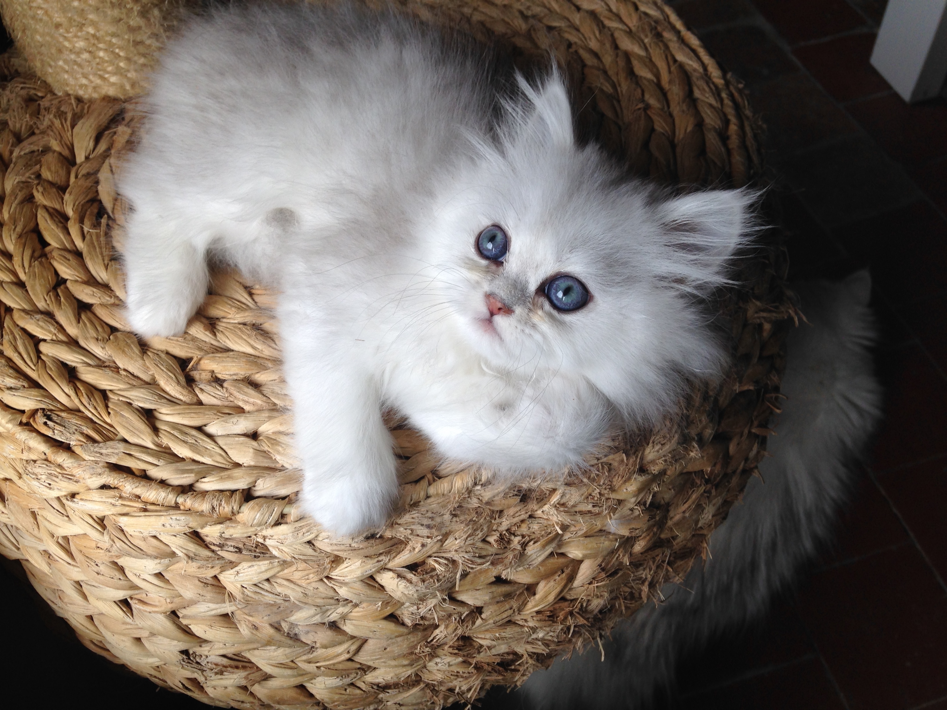 2 mois