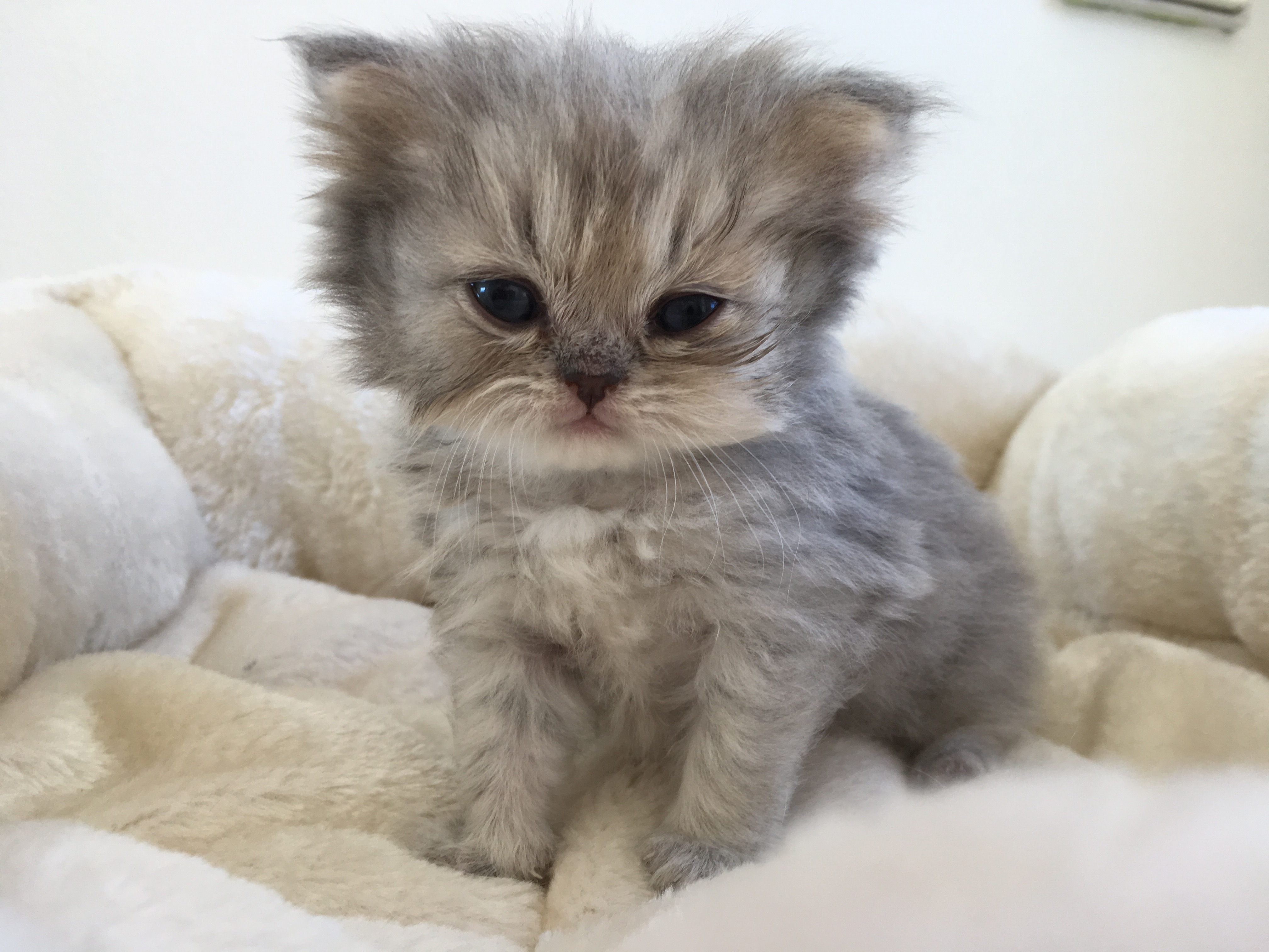 1 mois