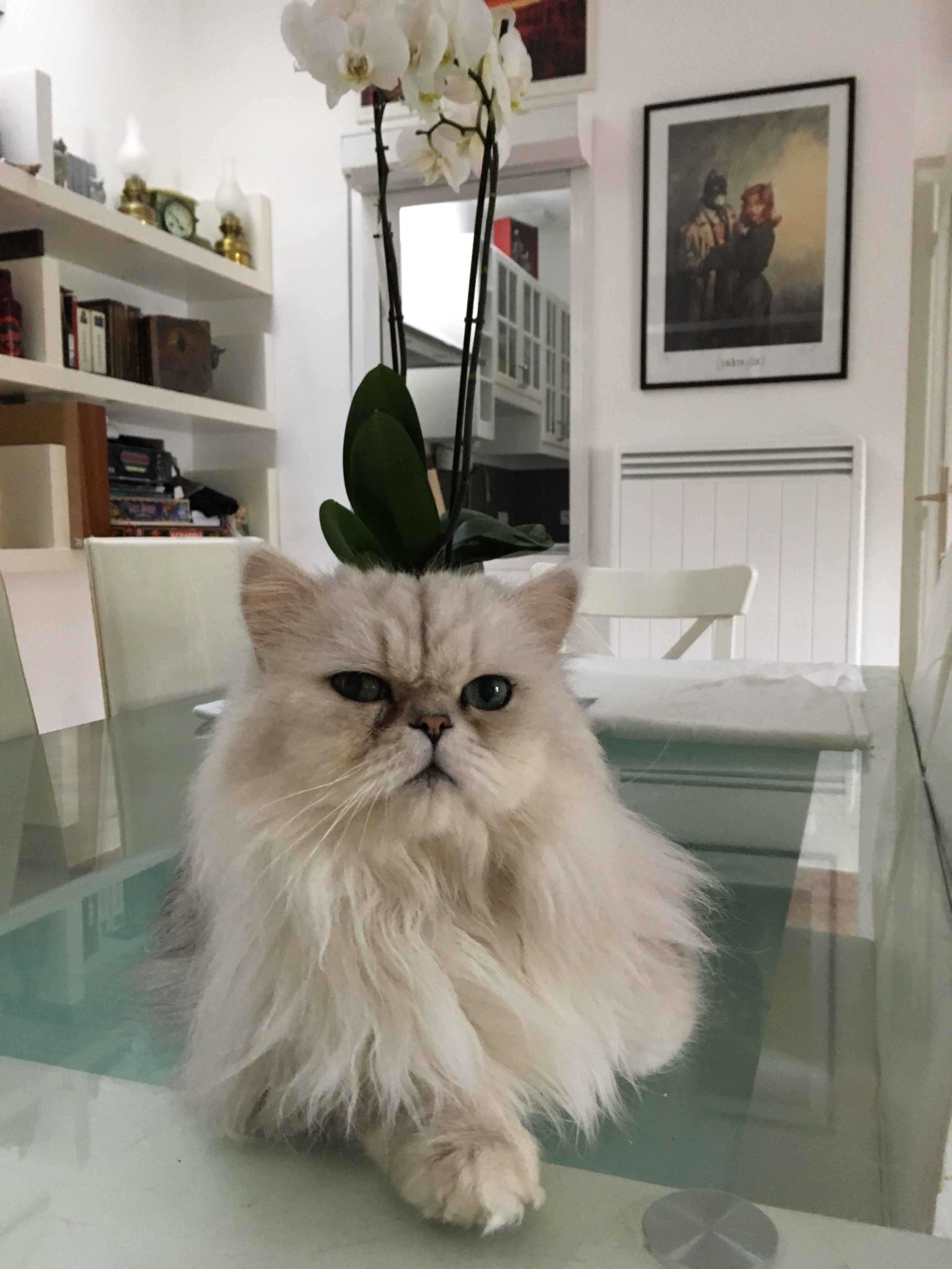 8 ans