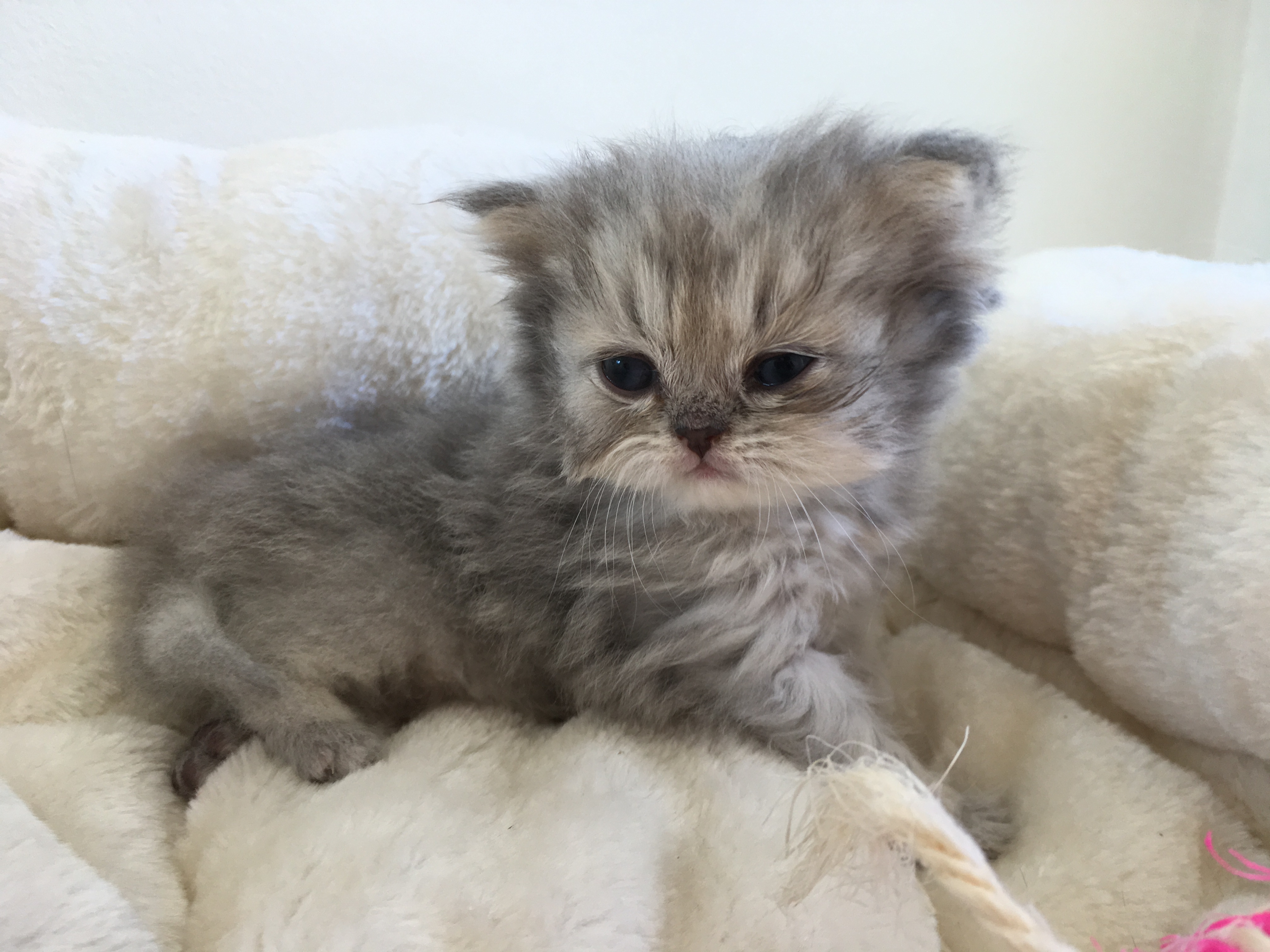 1 mois