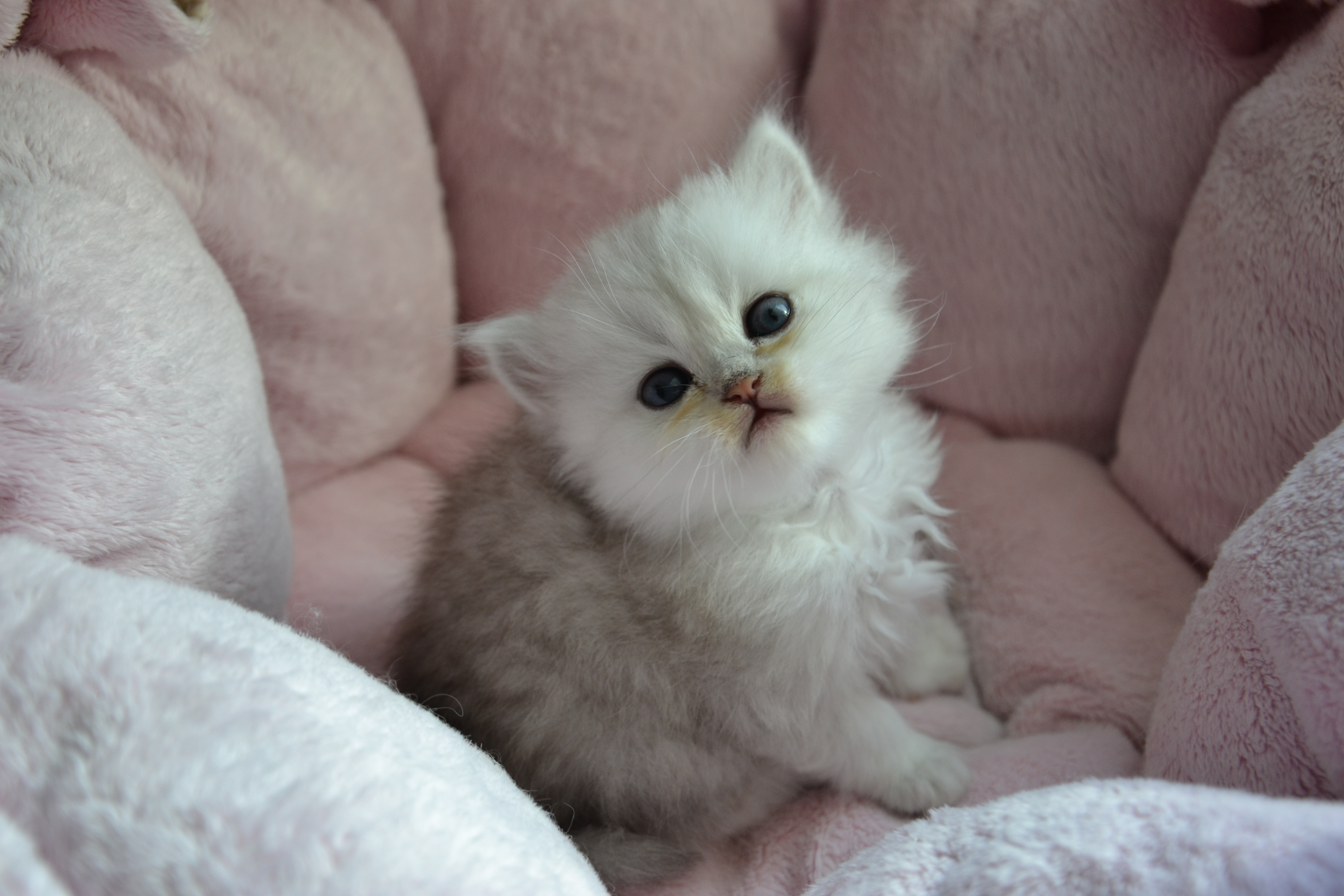 1 mois