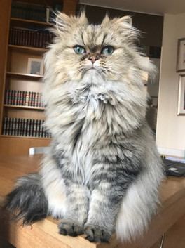 Oliver, 2 ans