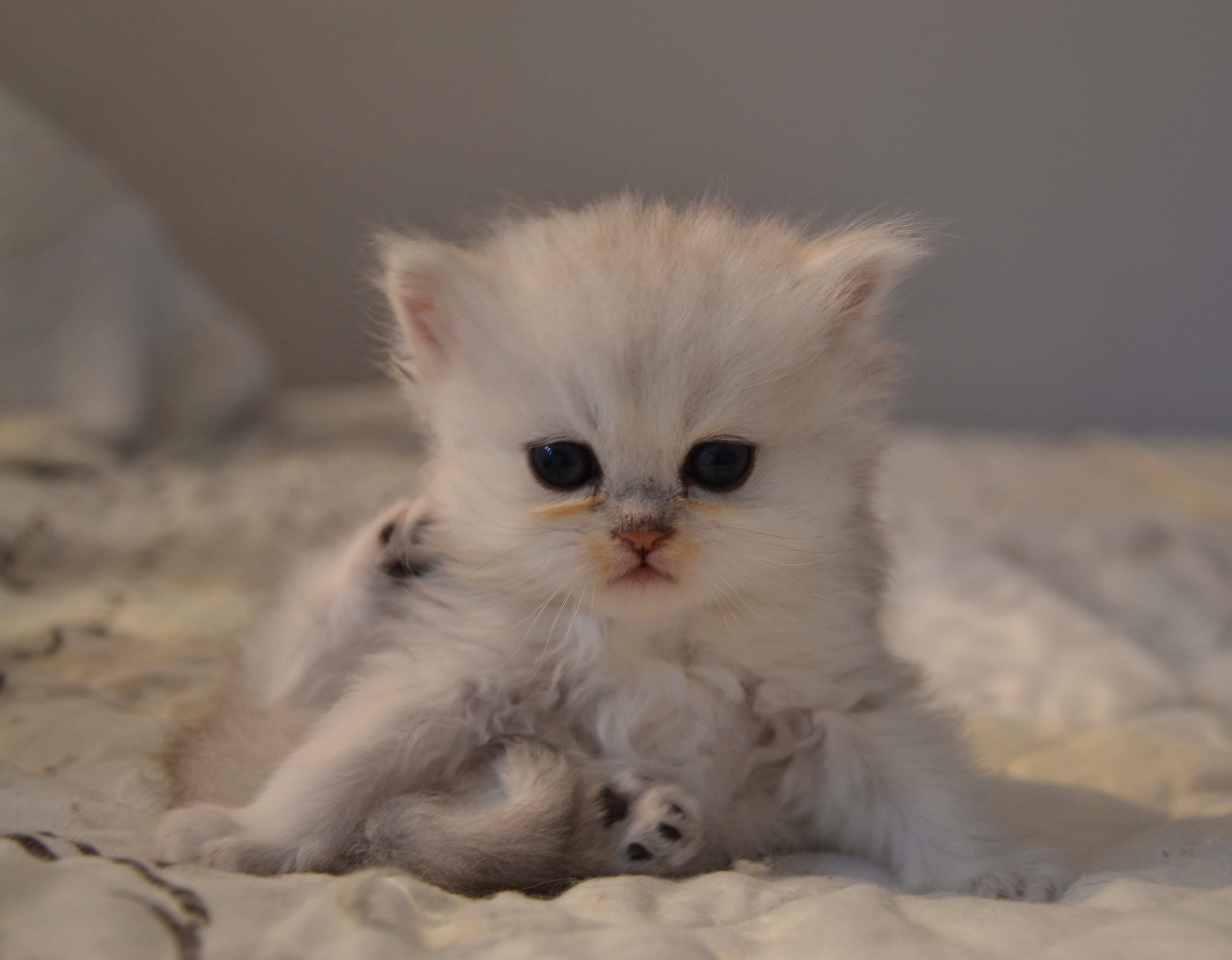 1 mois