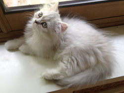 2 mois