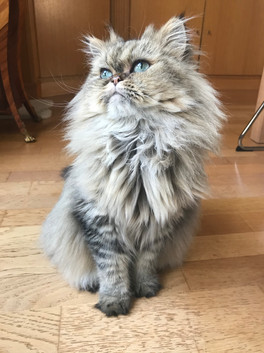 Oliver, 2 ans