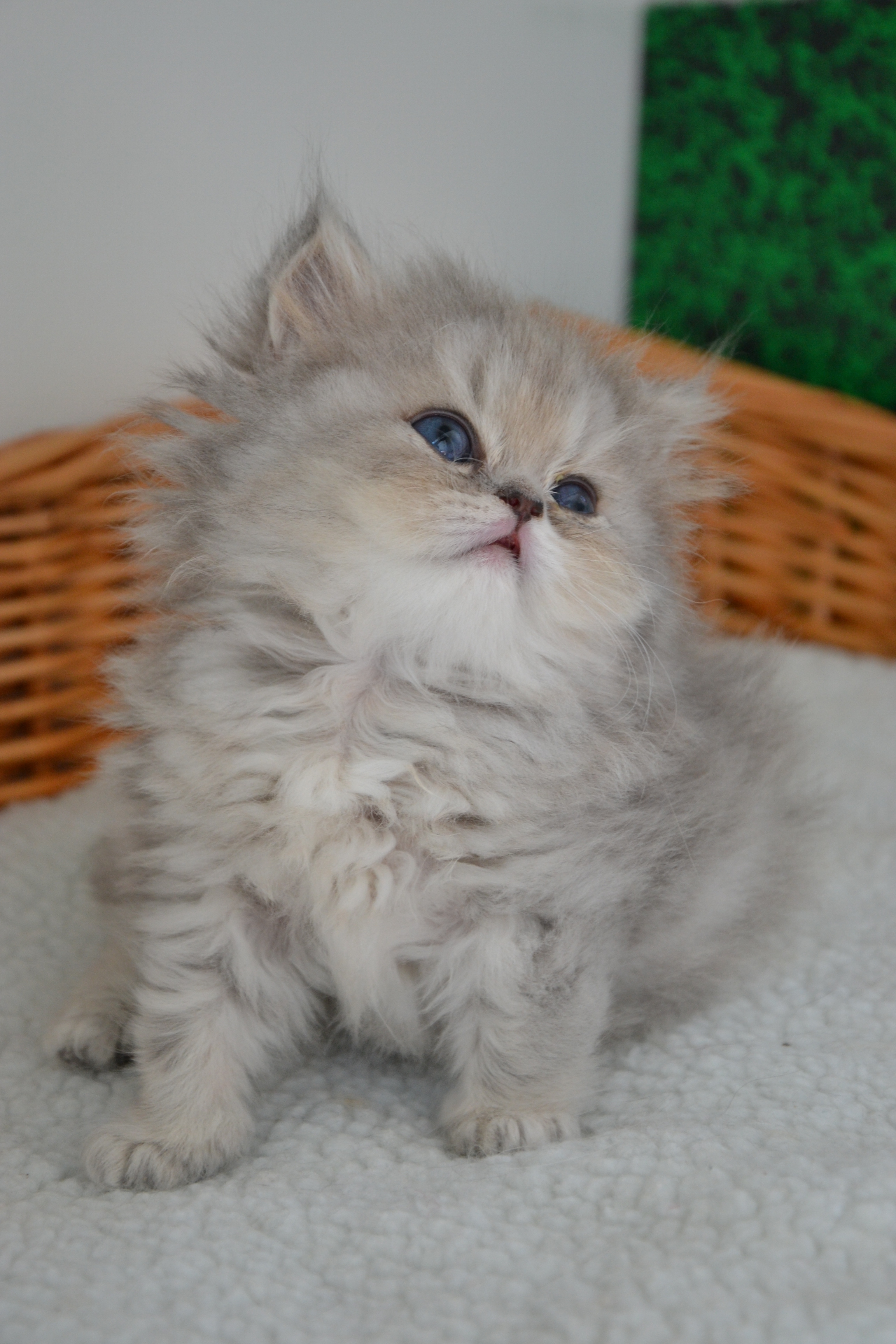 1 mois