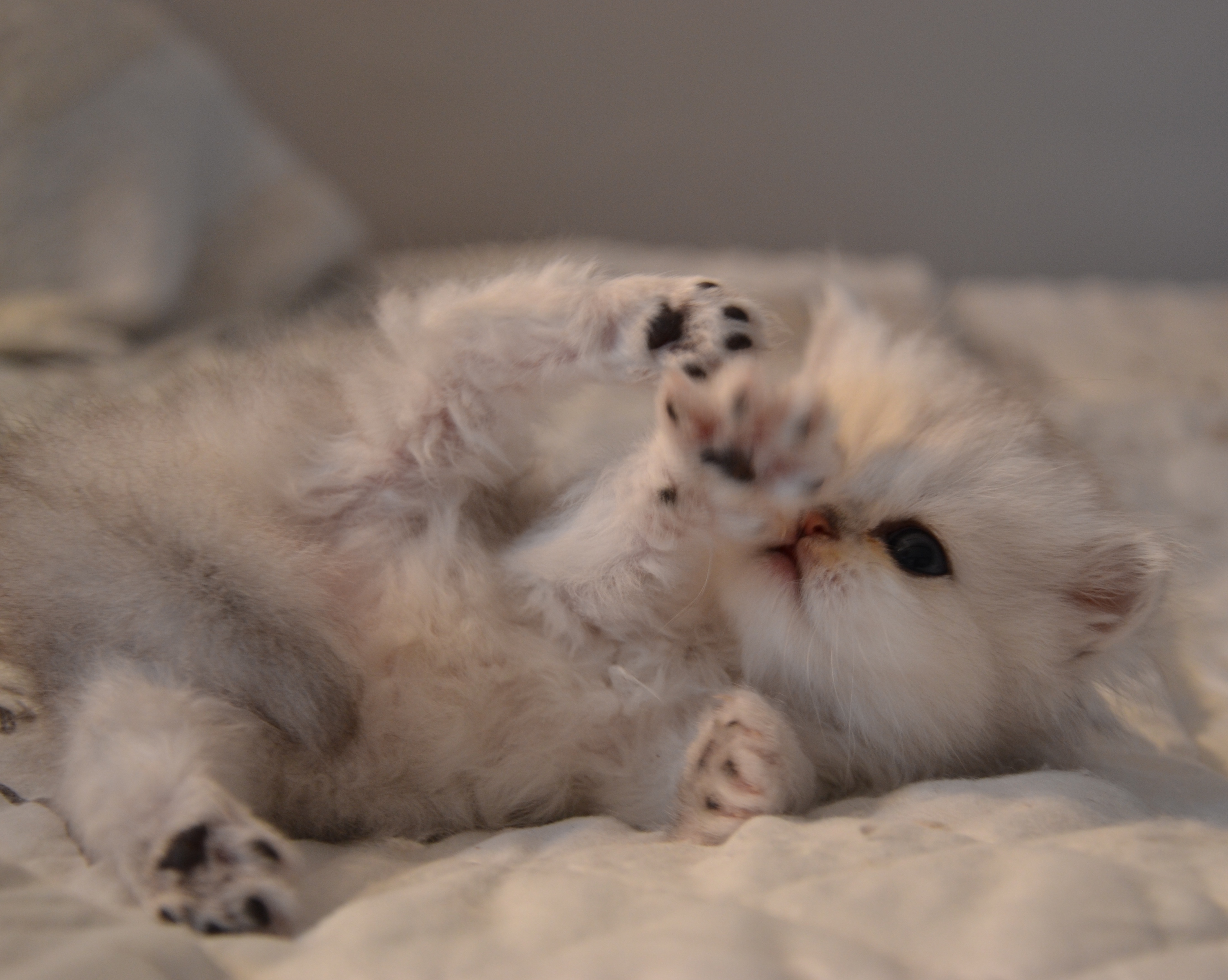 1 mois