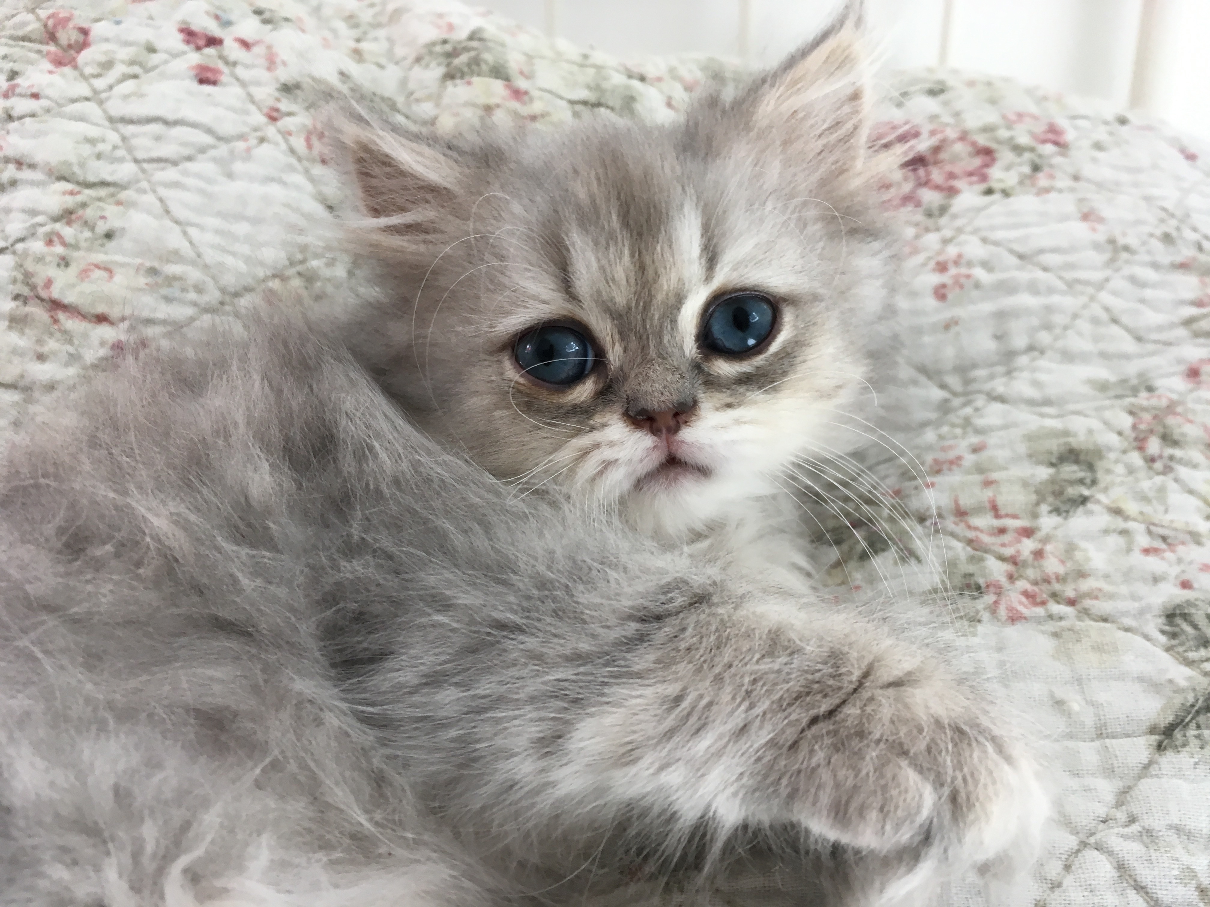 2 mois