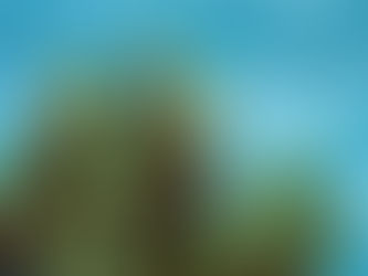 Ultimate Guide to Reef Tank Water Parameters for Coral Growth