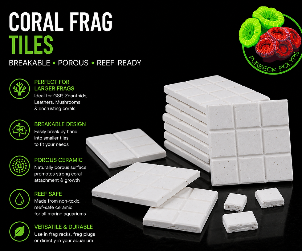 50m coral frag tiles for sale uk