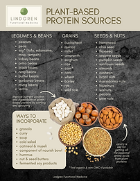 Plant-Based Protein Sources