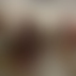 31st Annual Festival of Trees