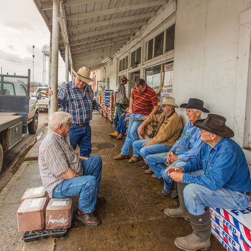 Bill Walterman's "Stubbs Feed Store: Crossroads of a Community"