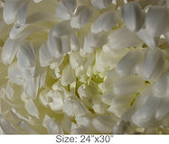 MC36_24x30.jpg